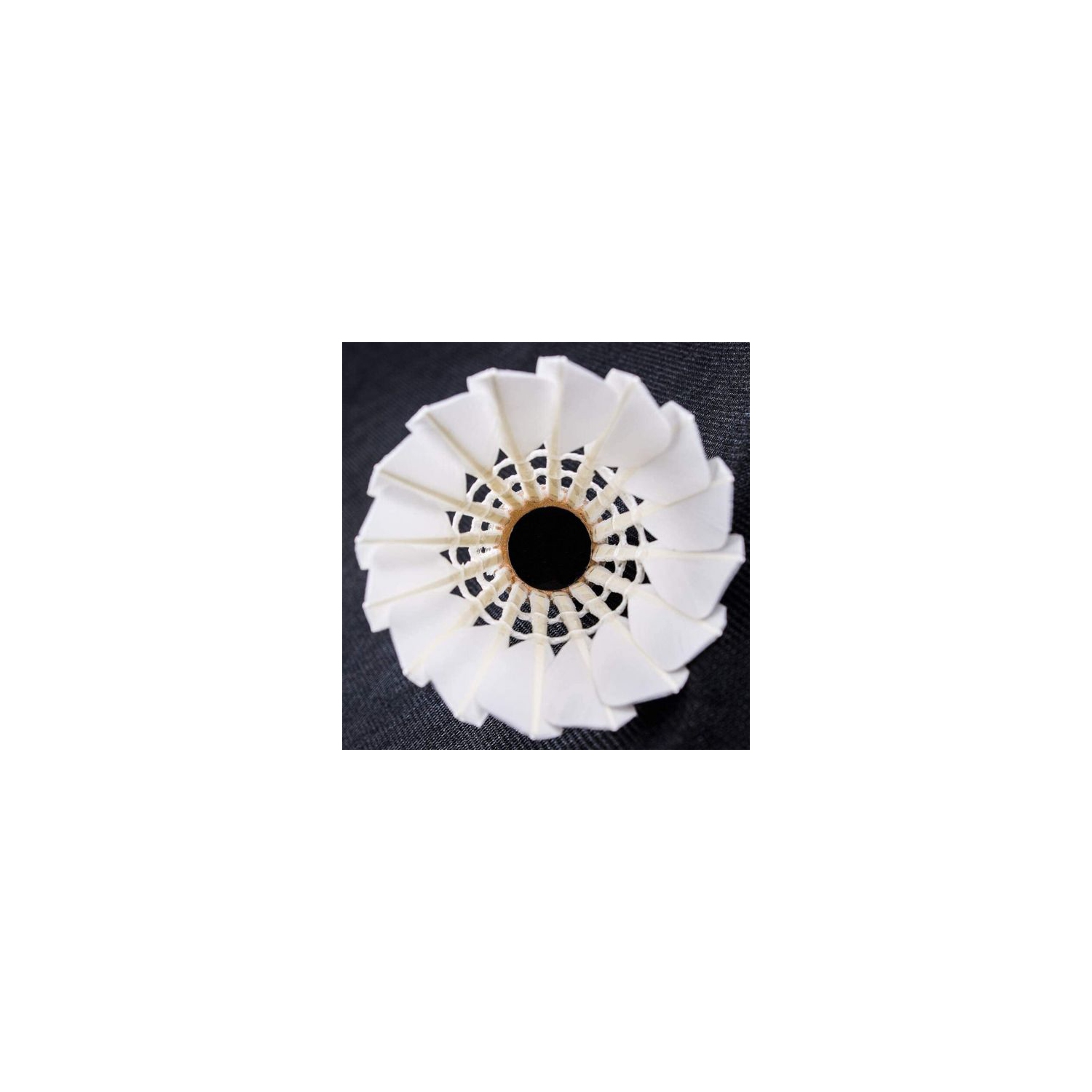 12-Pack High-Speed Goose Feather Badminton Shuttlecocks – Durable, Stable, and Ideal for Sports Training