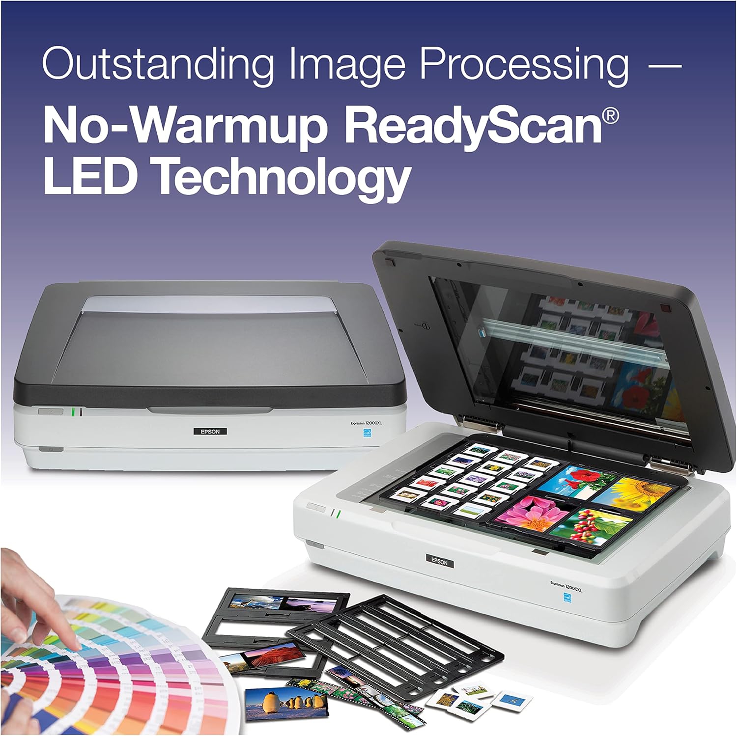 Epson 12000 X l-ph Expresión Flatbed Scanner
