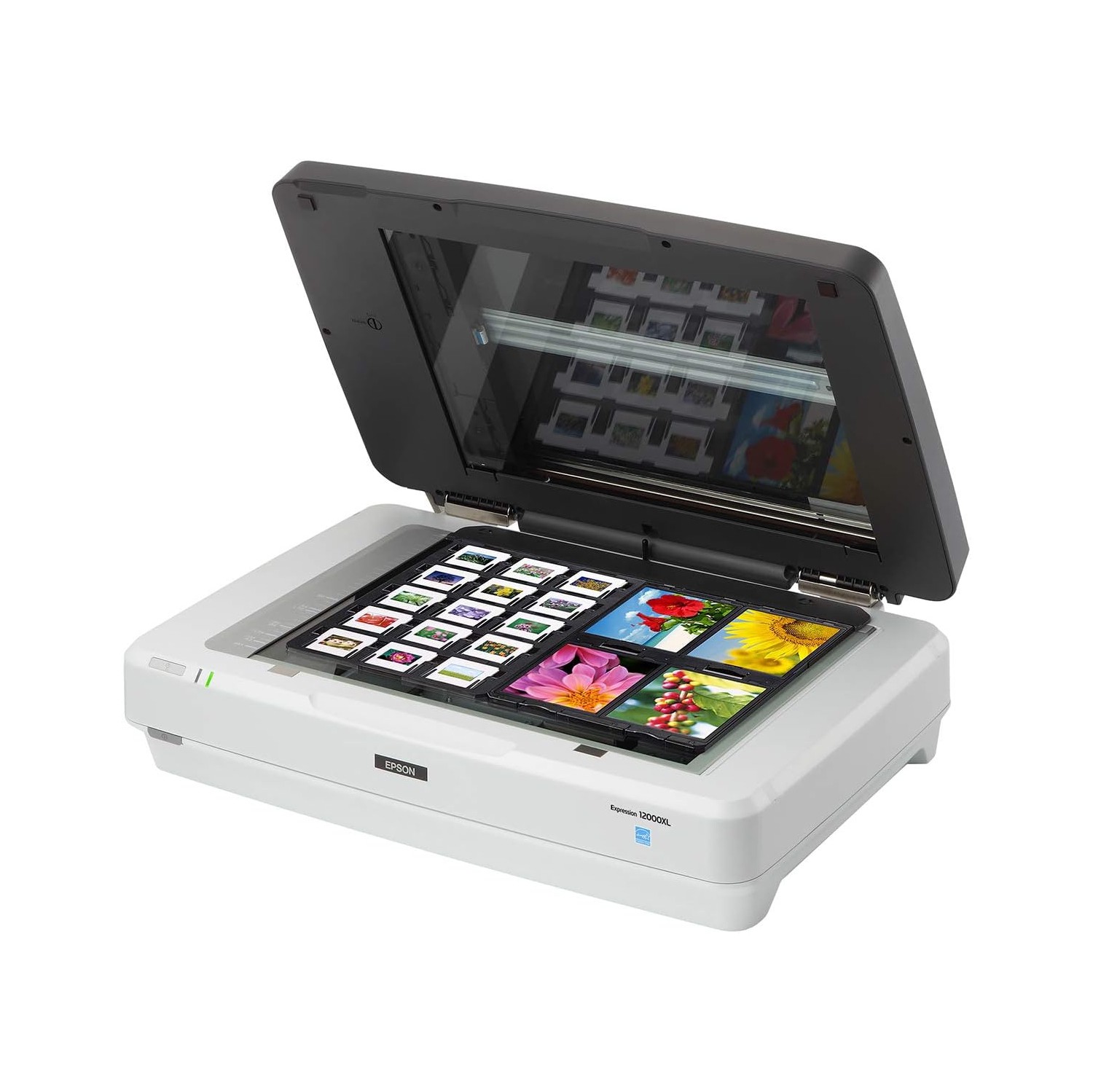 Epson 12000 X l-ph Expresión Flatbed Scanner