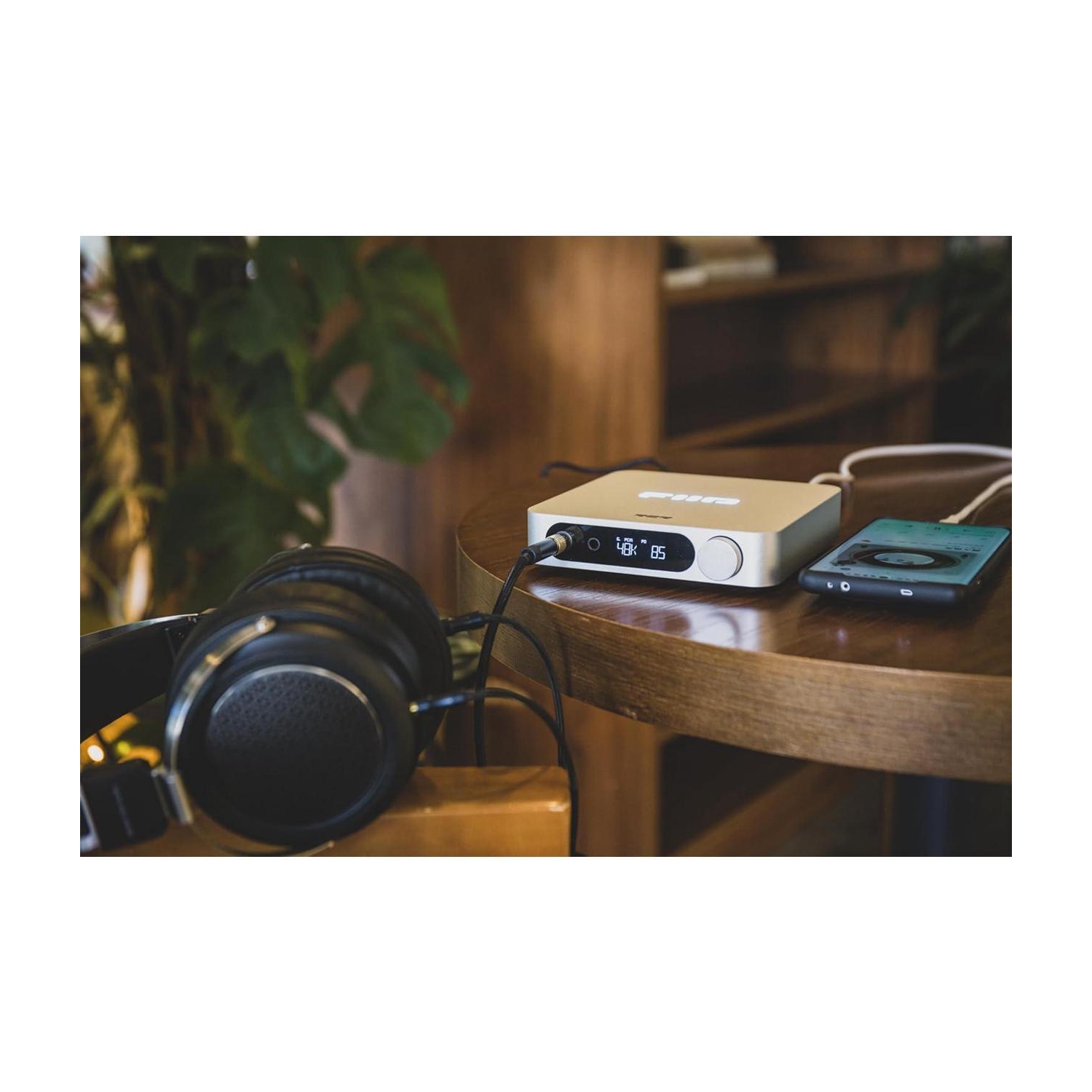 CNA K11 R2R et amplificateur d'écouteurs FiiO pour audio à domicile ou PC avec nettoyant pour gadgets en prime