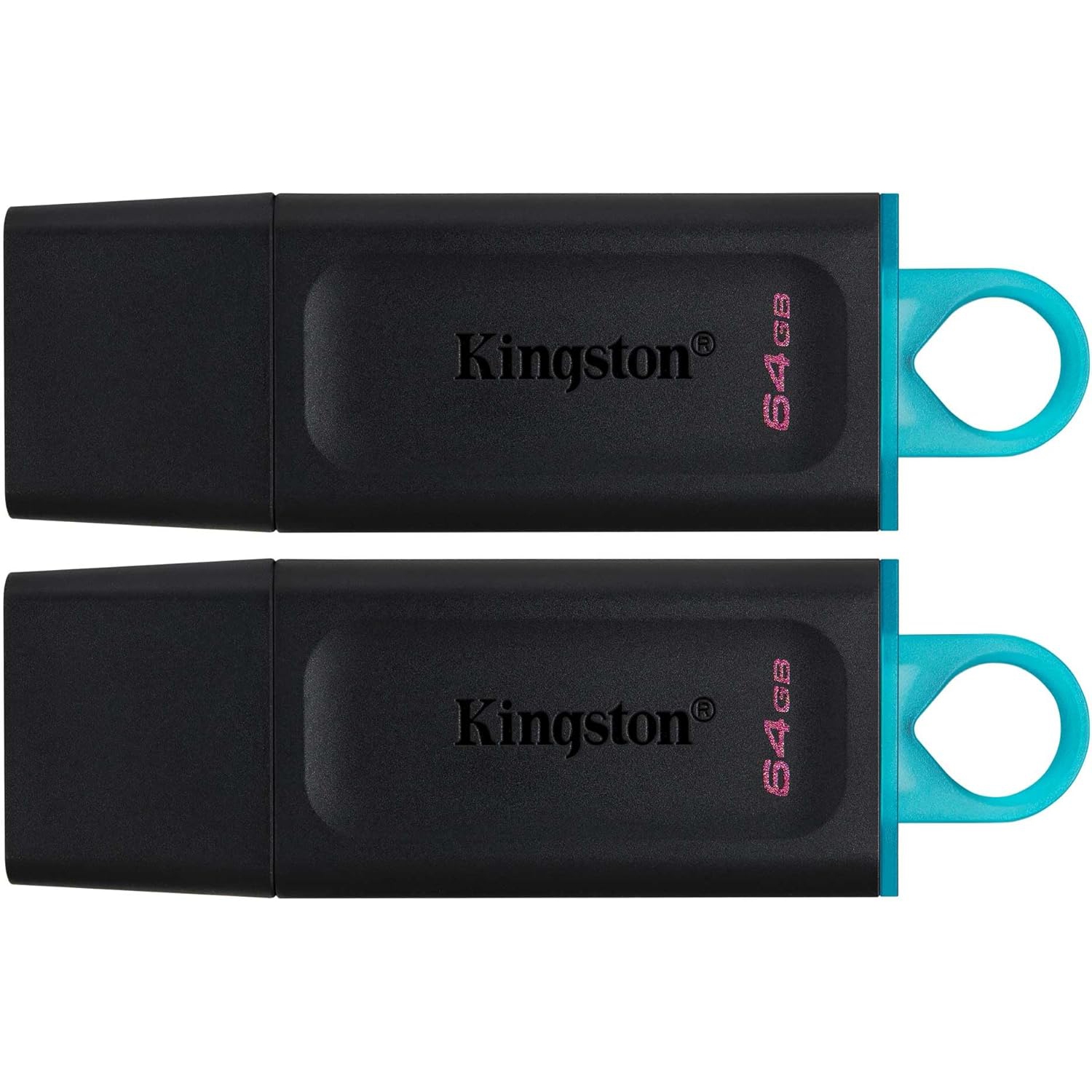 Kingston DTX DataTraveler Exodia 64GB USB 3.2 Flash Drive (DTX/64GB-2P)