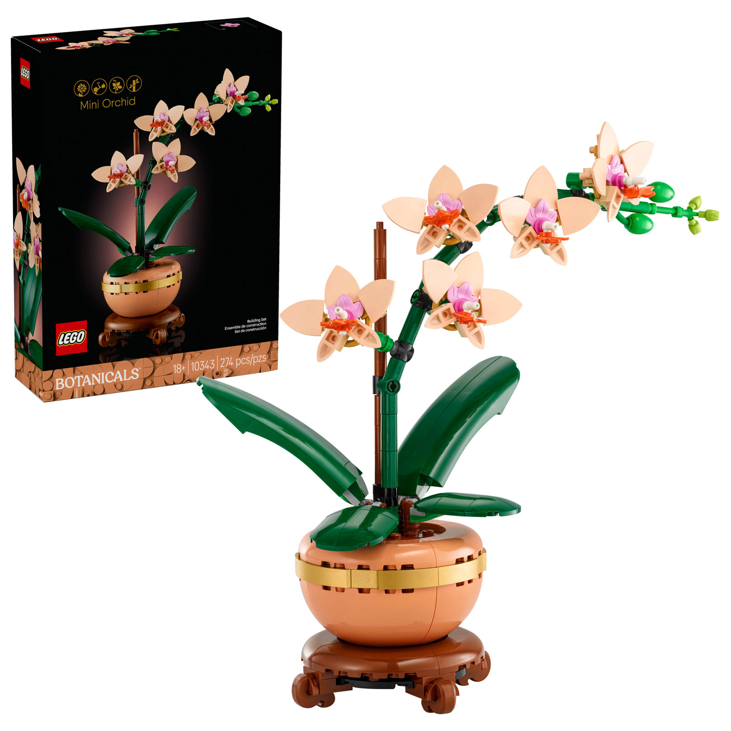 BOTANICAL ART 【import品】 il_1080xN.4410135136_dxac.jpg