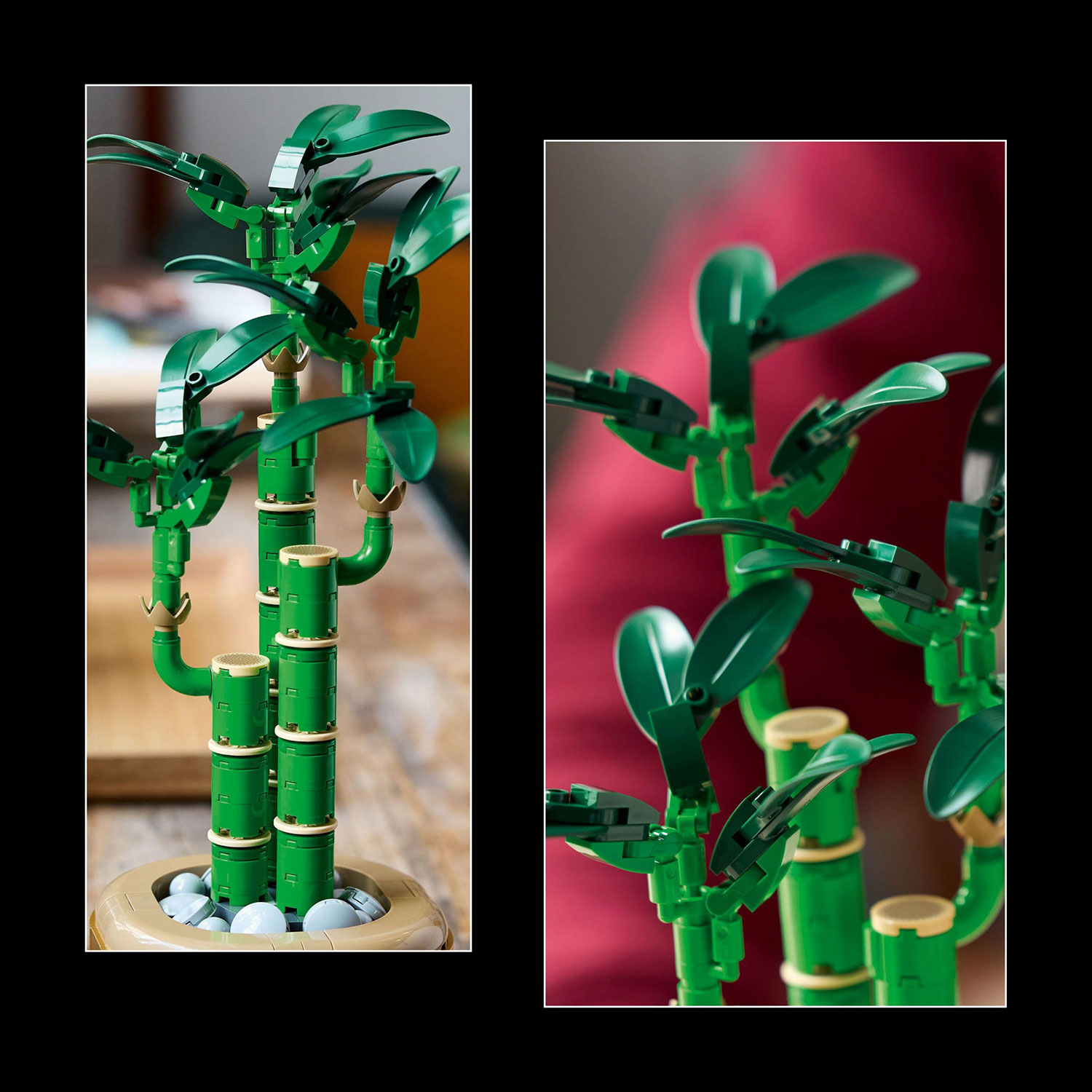 LEGO Botanicals : Le bambou de la chance - 325 pièces