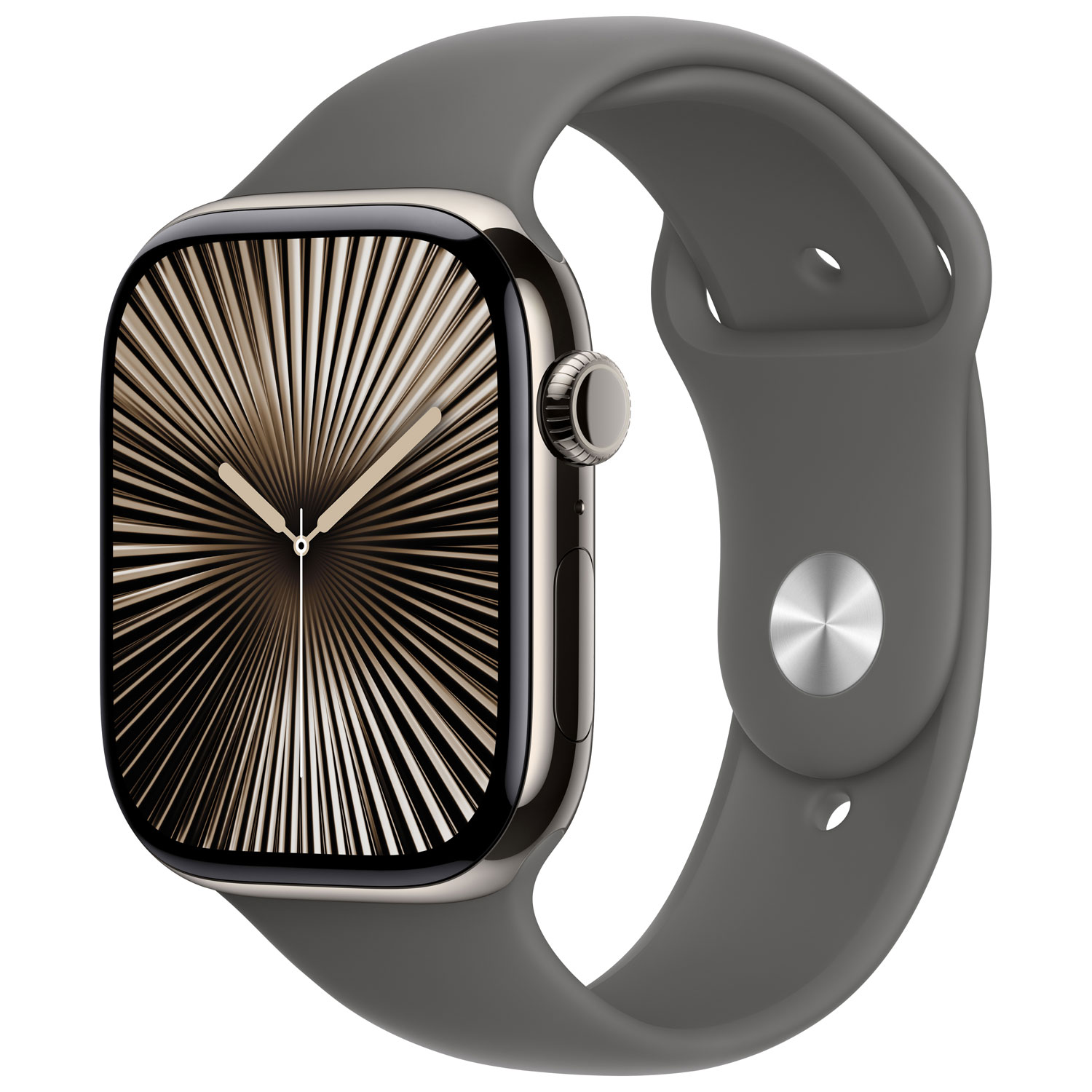 Apple Watch Series 10 avec boîtier de 46 mm en titane naturel et bracelet gris pierre - Petit/Moyen