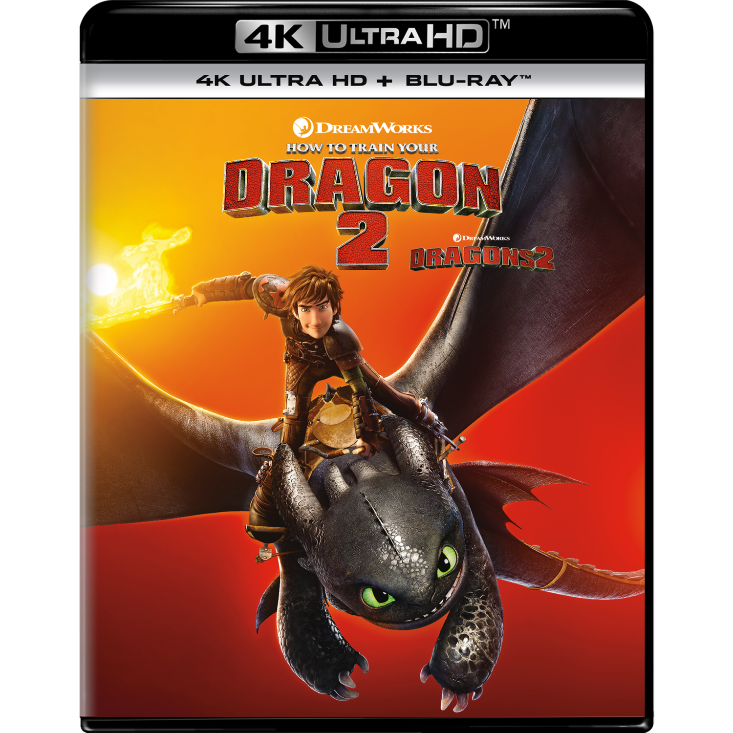How to Train Your Dragon 2 [DVD]