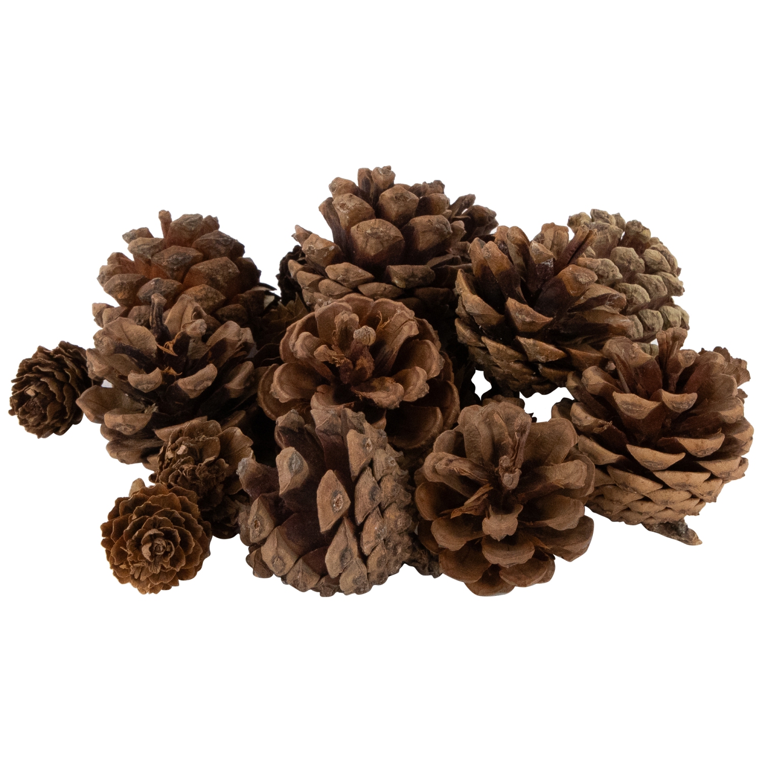 Ornaments, Pinecones and Stars Christmas Decorations - 6"