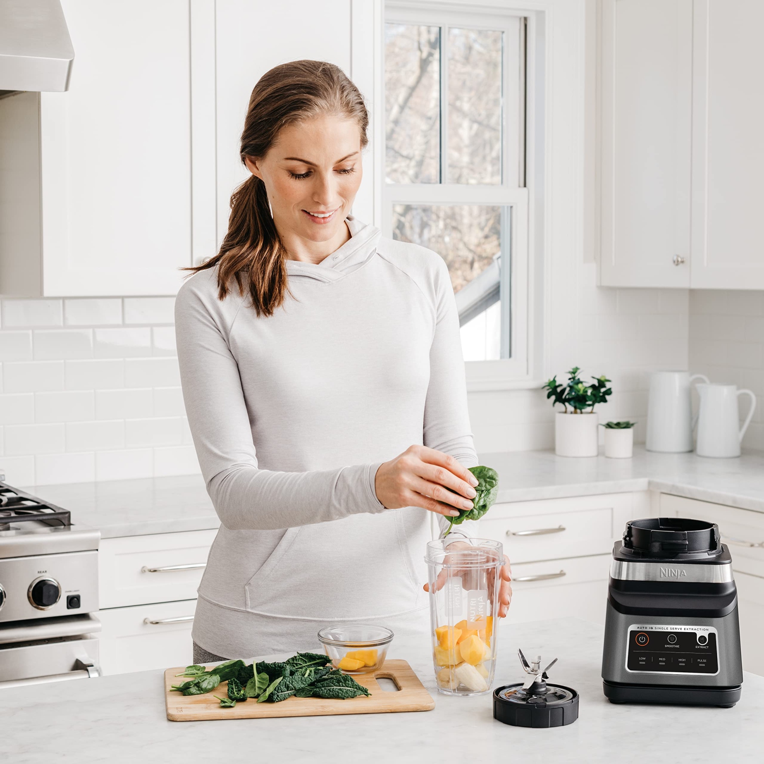 Ninja BN750C Professional Plus Blender DUO with Auto-iQ, 1400-Peak-Watt, Black/Silver