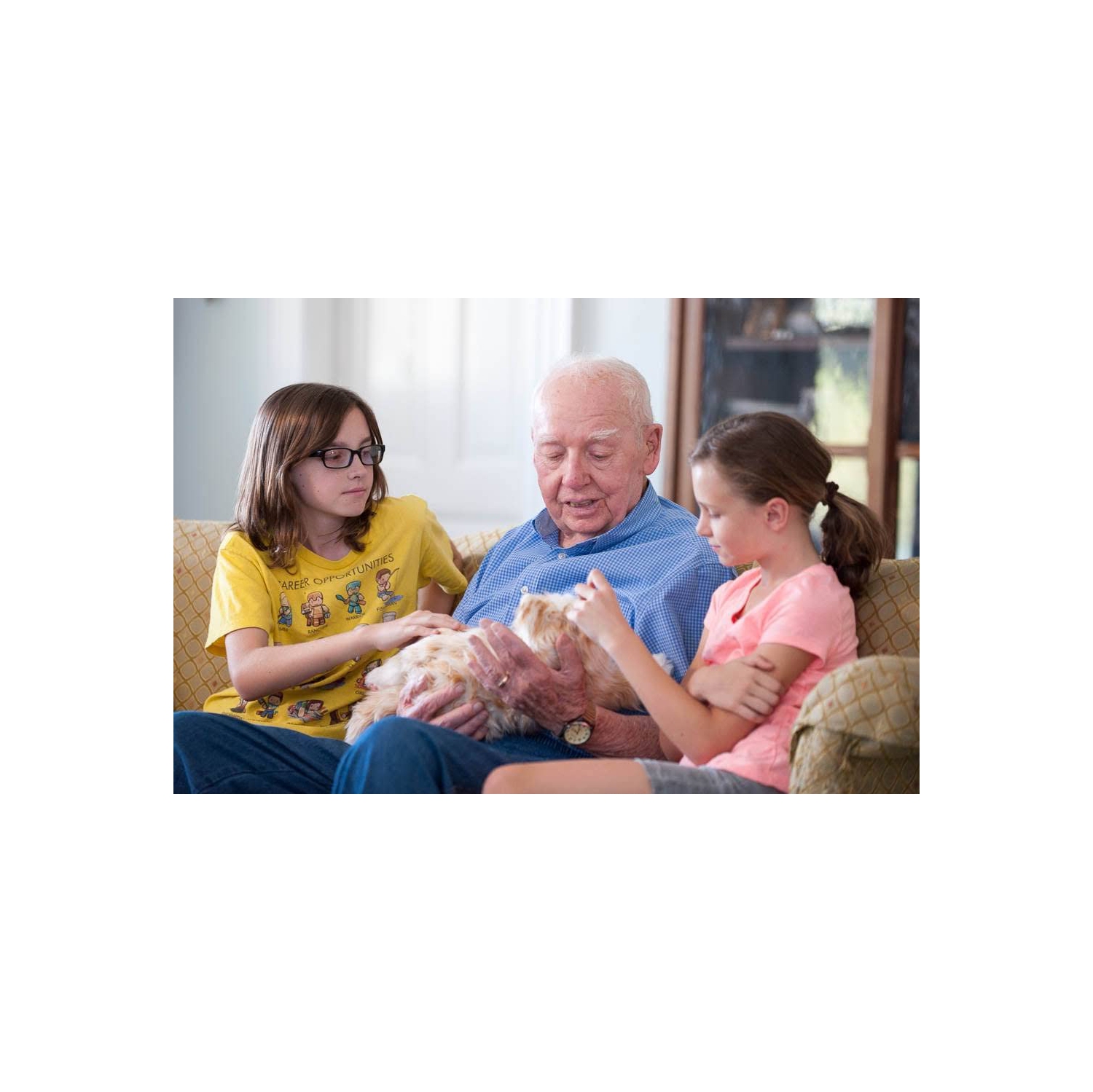 Ageless Innovation | Joy For All Companion Pets | Orange Tabby Cat | Lifelike & Realistic