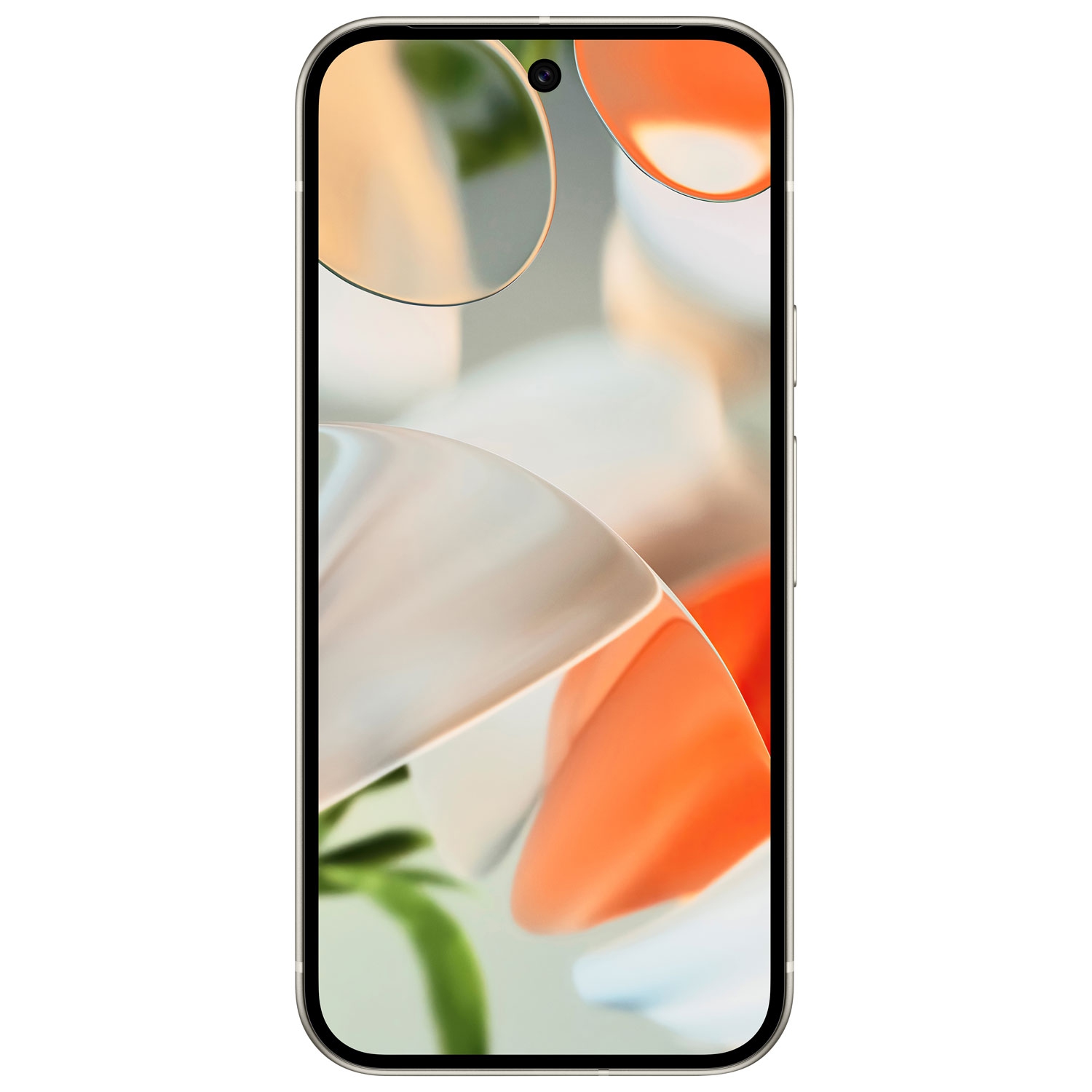 Remis à neuf - Pixel 9 256&nbsp;Go de Google - Porcelaine - Déverrouillé