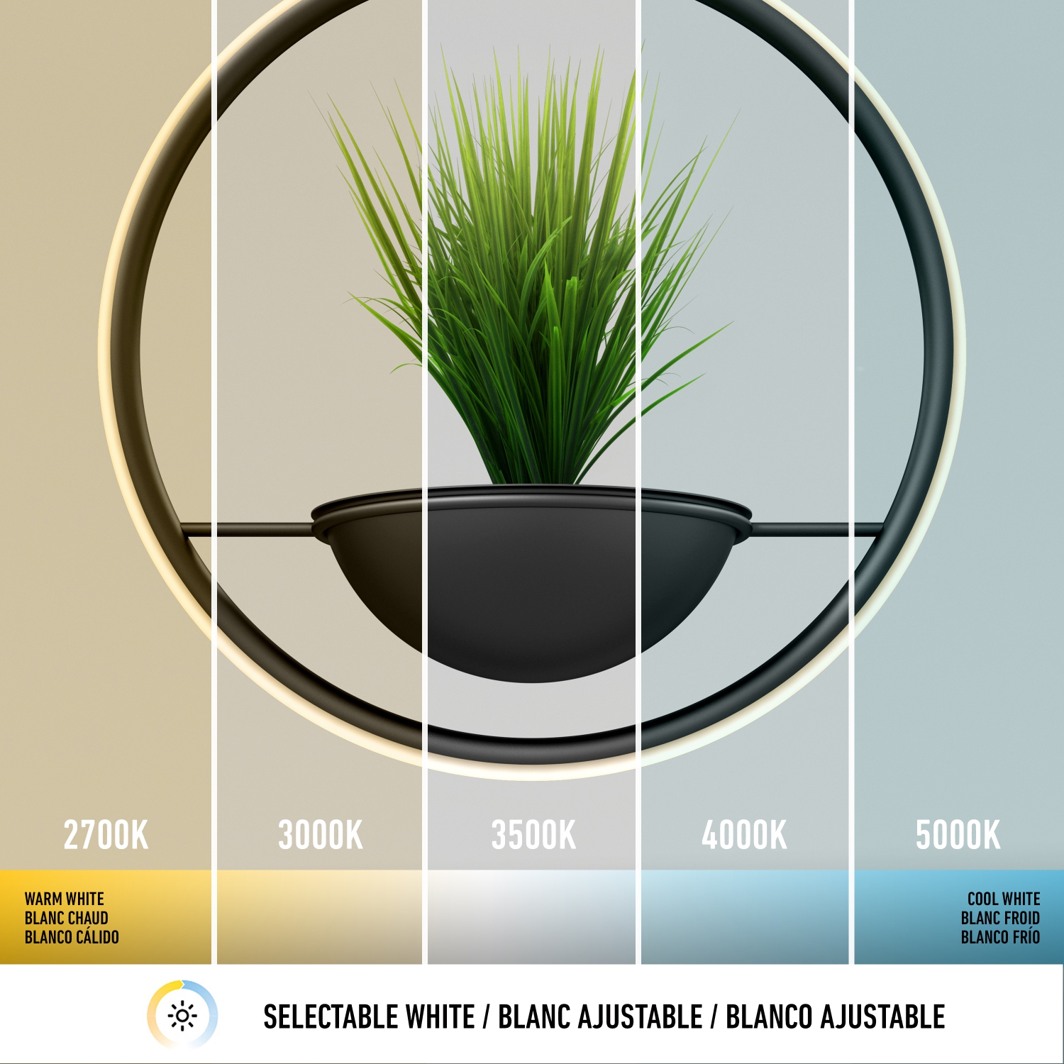 Artika – suspension et jardinière modernes Colin, noir mat