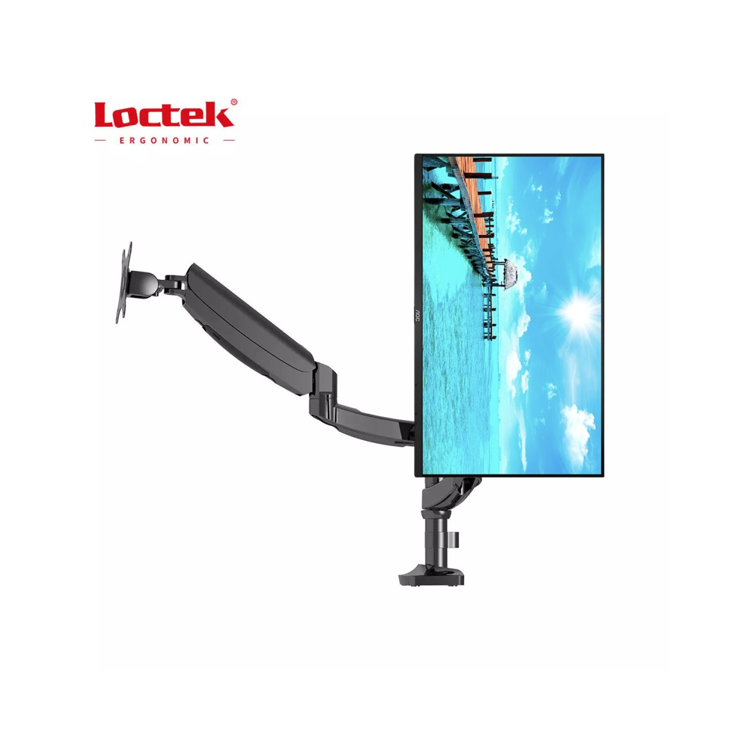 Loctek DLB504-2 Dual Monitor Arm, Aluminum, Gas Spring