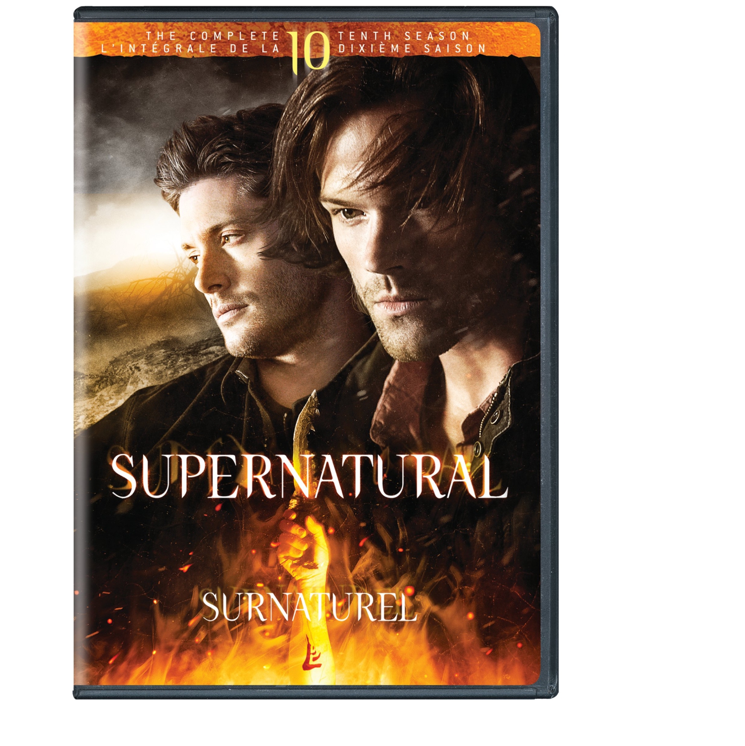 Supernatural: The Complete Tenth Season [DVD]