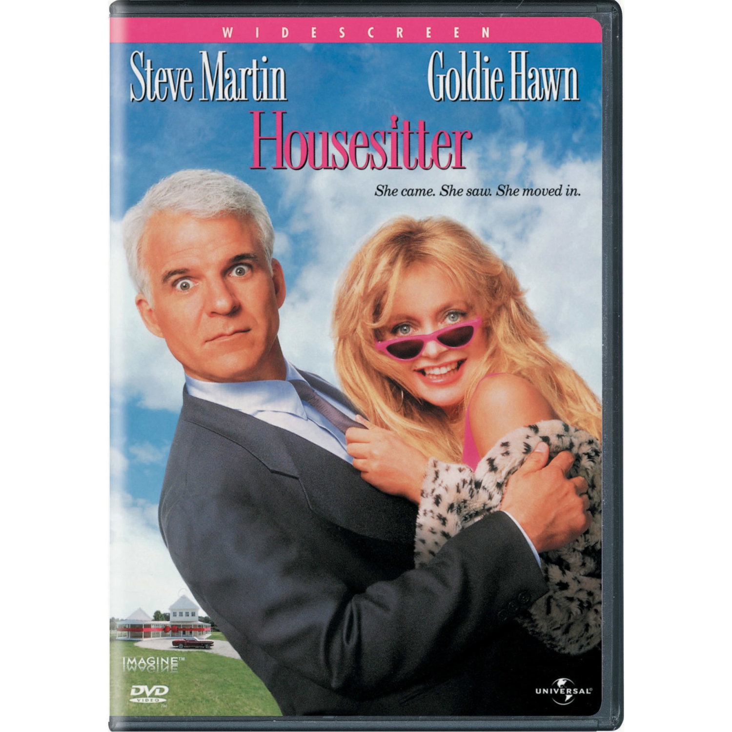 Housesitter [DVD]