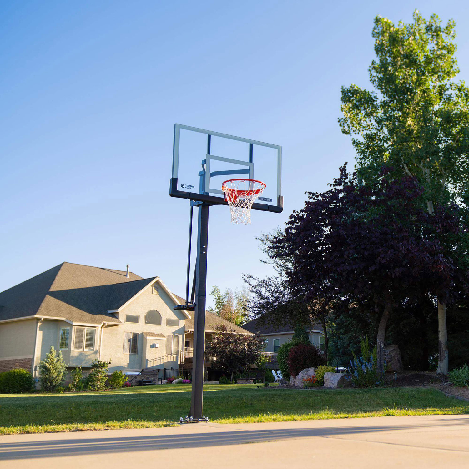 Lifetime Mammoth 54" Lift Bolt Tempered Glass Basketball System