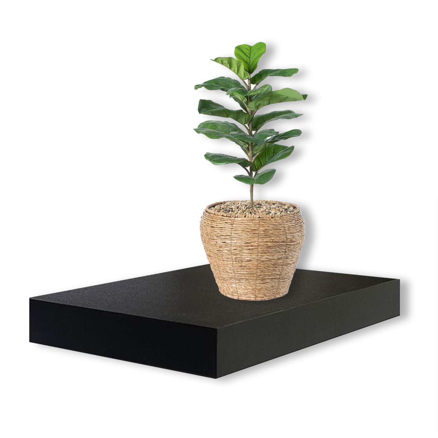 Jessar - Set of 3 Floating Wall Shelves, 15.75" x 9.25" x 1.5", Black