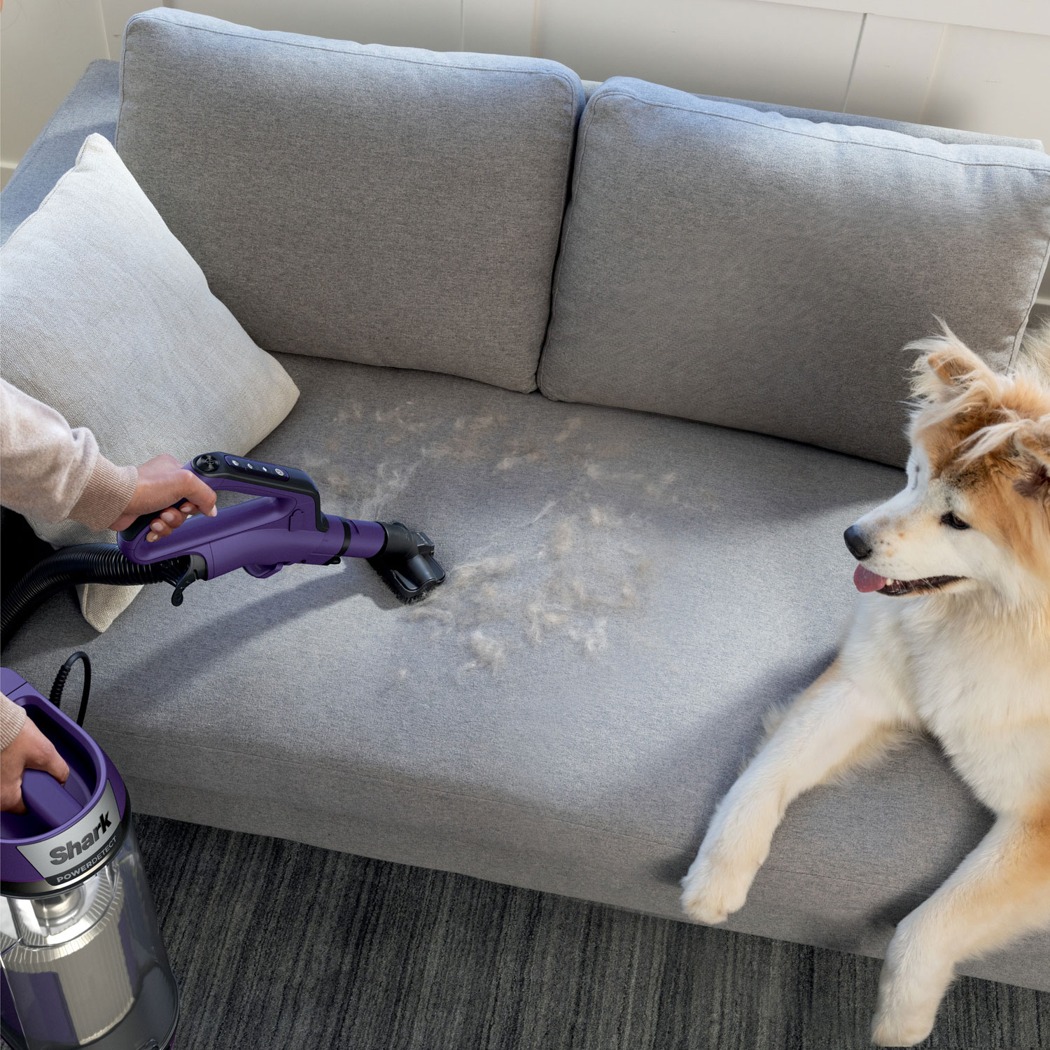 Shark PowerDetect Upright Vacuum - Eggplant