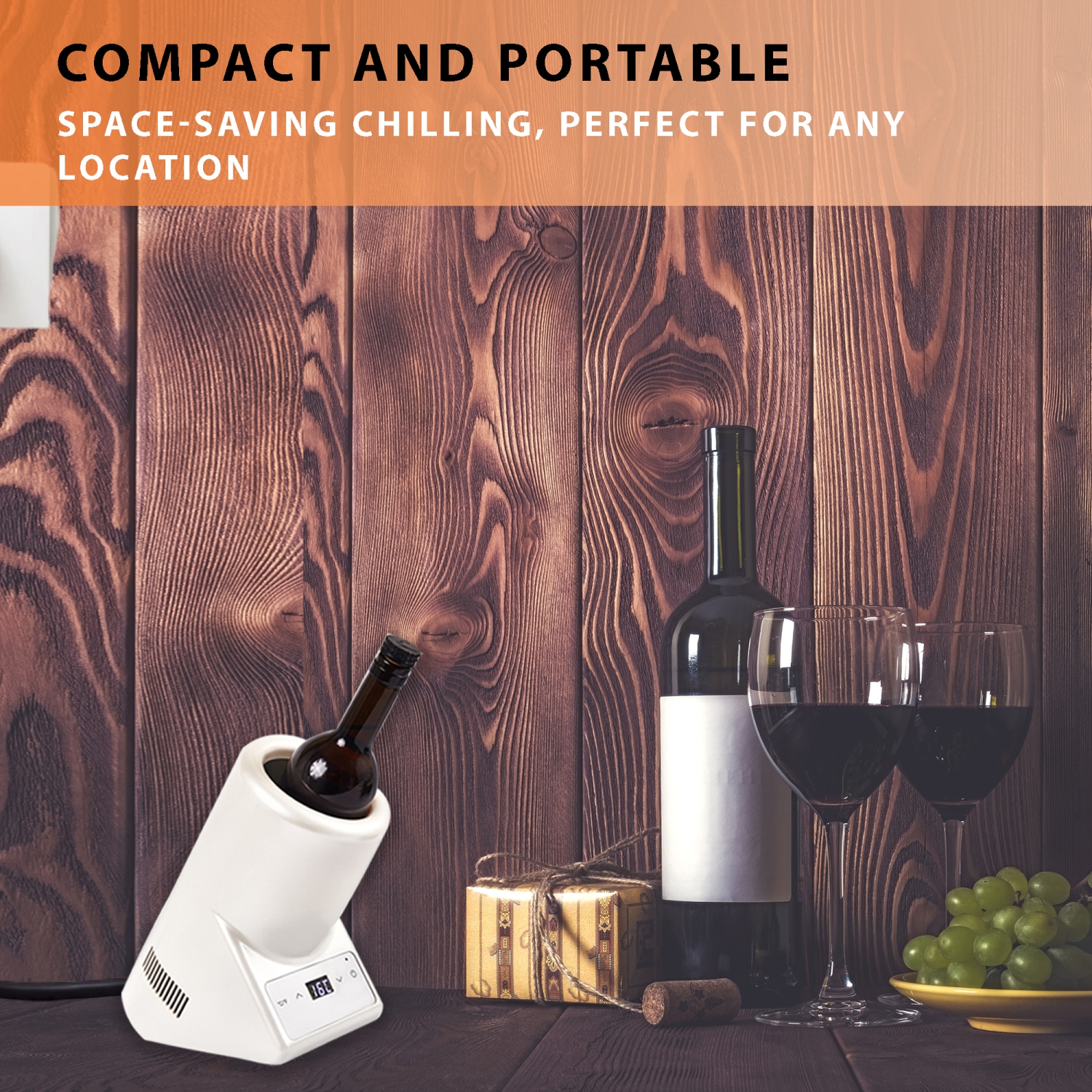 Equator Single Bottle Chiller Wine-Champagne-Water 110V AC/12V DC