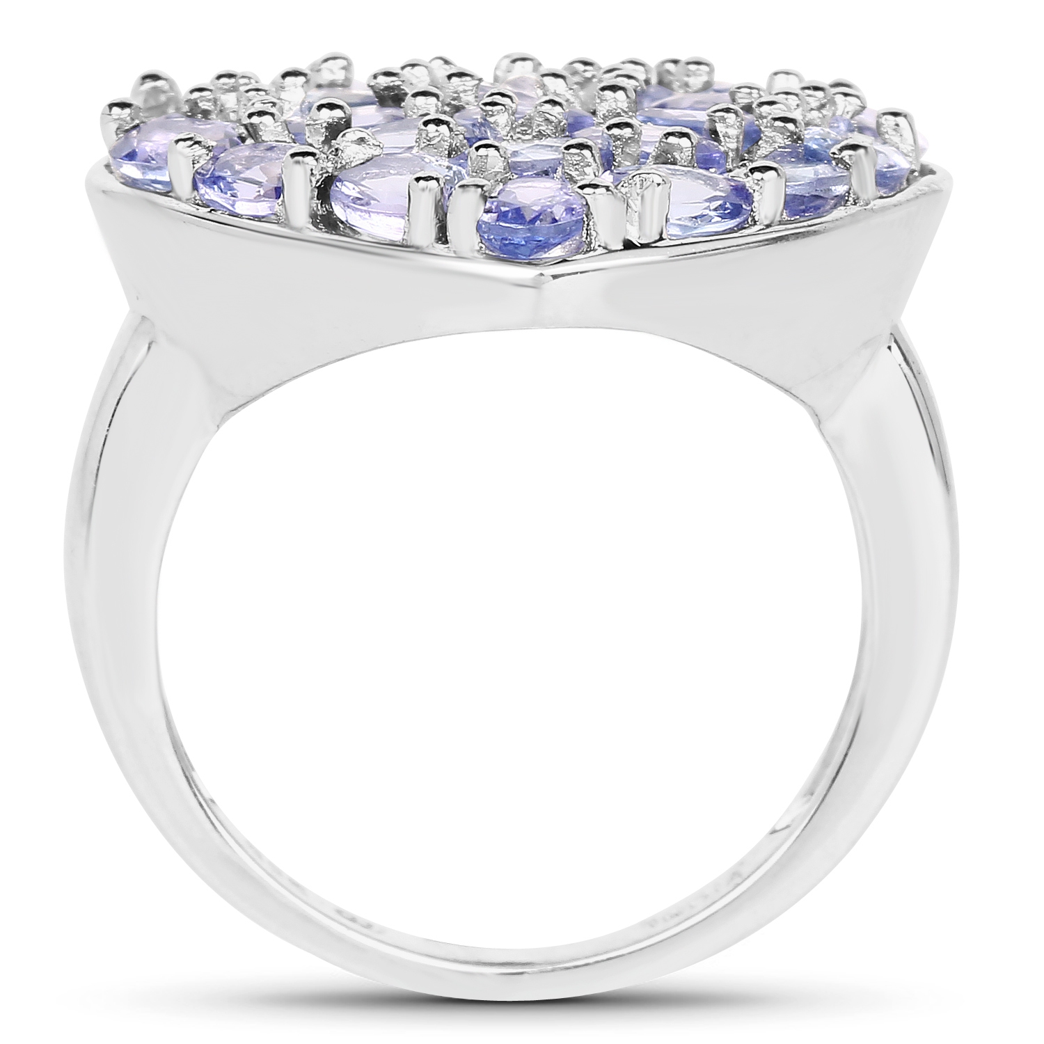 3.96 Carat Genuine Tanzanite .925 Sterling Silver Ring