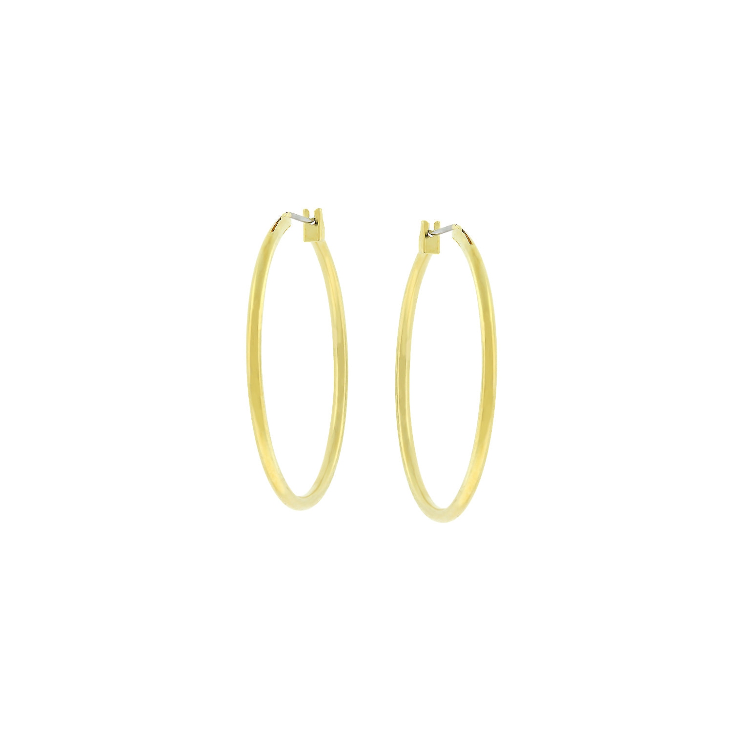 Elegant Hoop Earrings