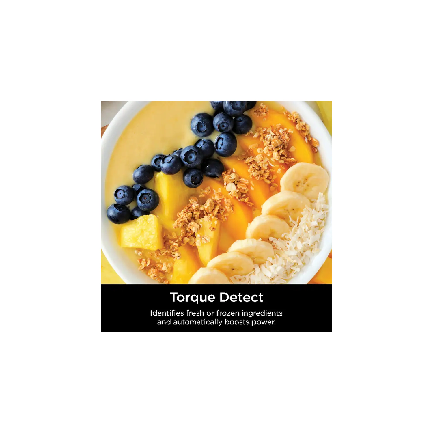 Mélangeur Ninja Detect™ Power remis à neuf avec technologie BlendSense™
