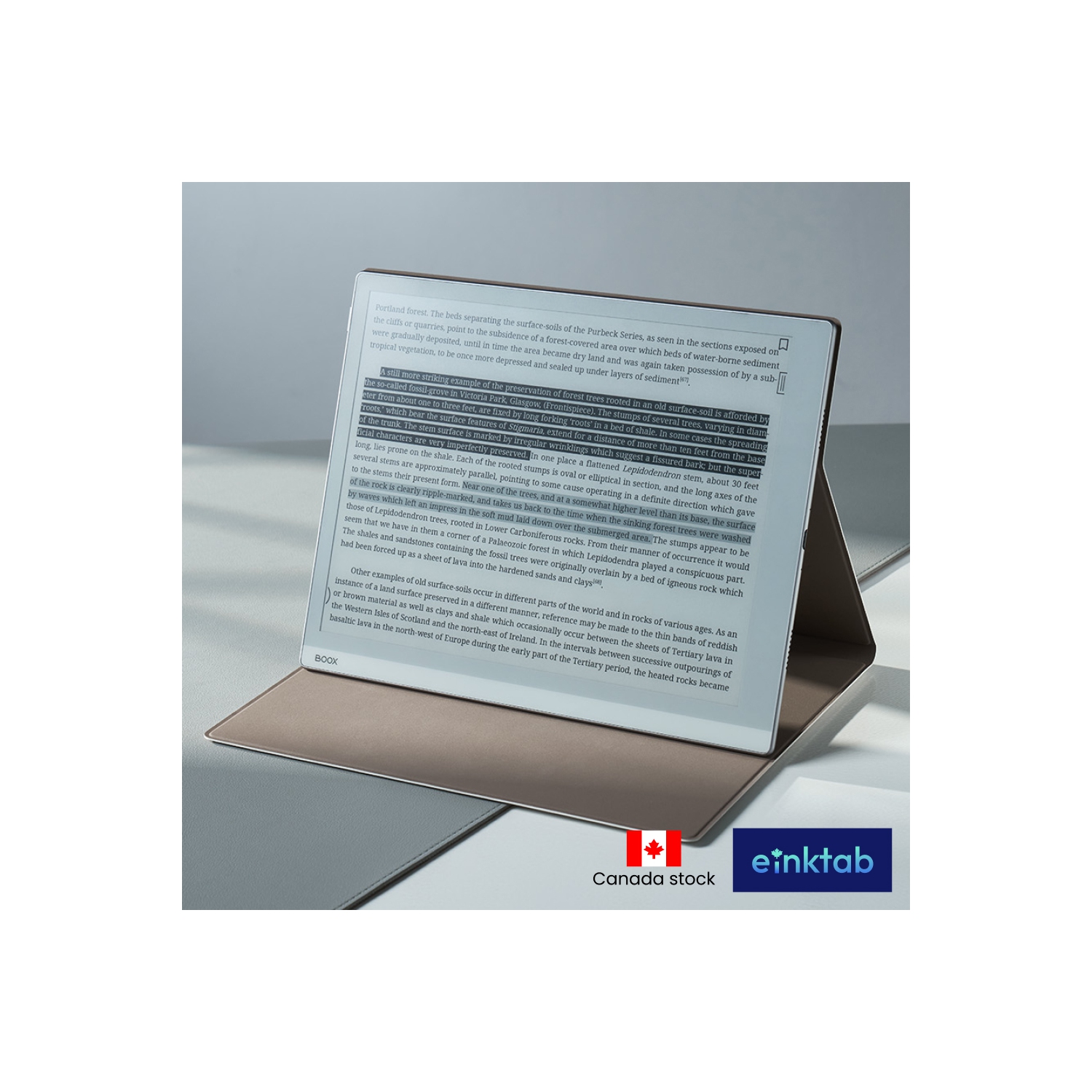 BOOX Go 10.3 Monochrome E-Ink Tablet + Original Magnetic Cover + Pen Tips Bundle