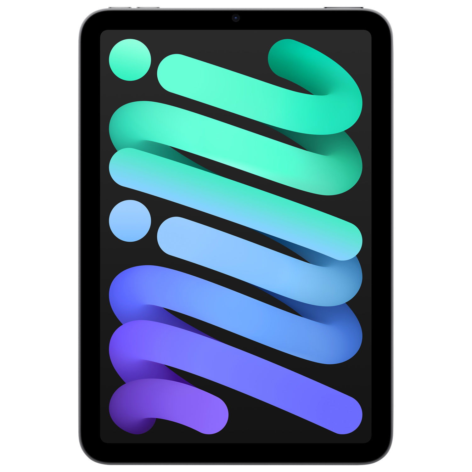 Apple iPad mini 8.3