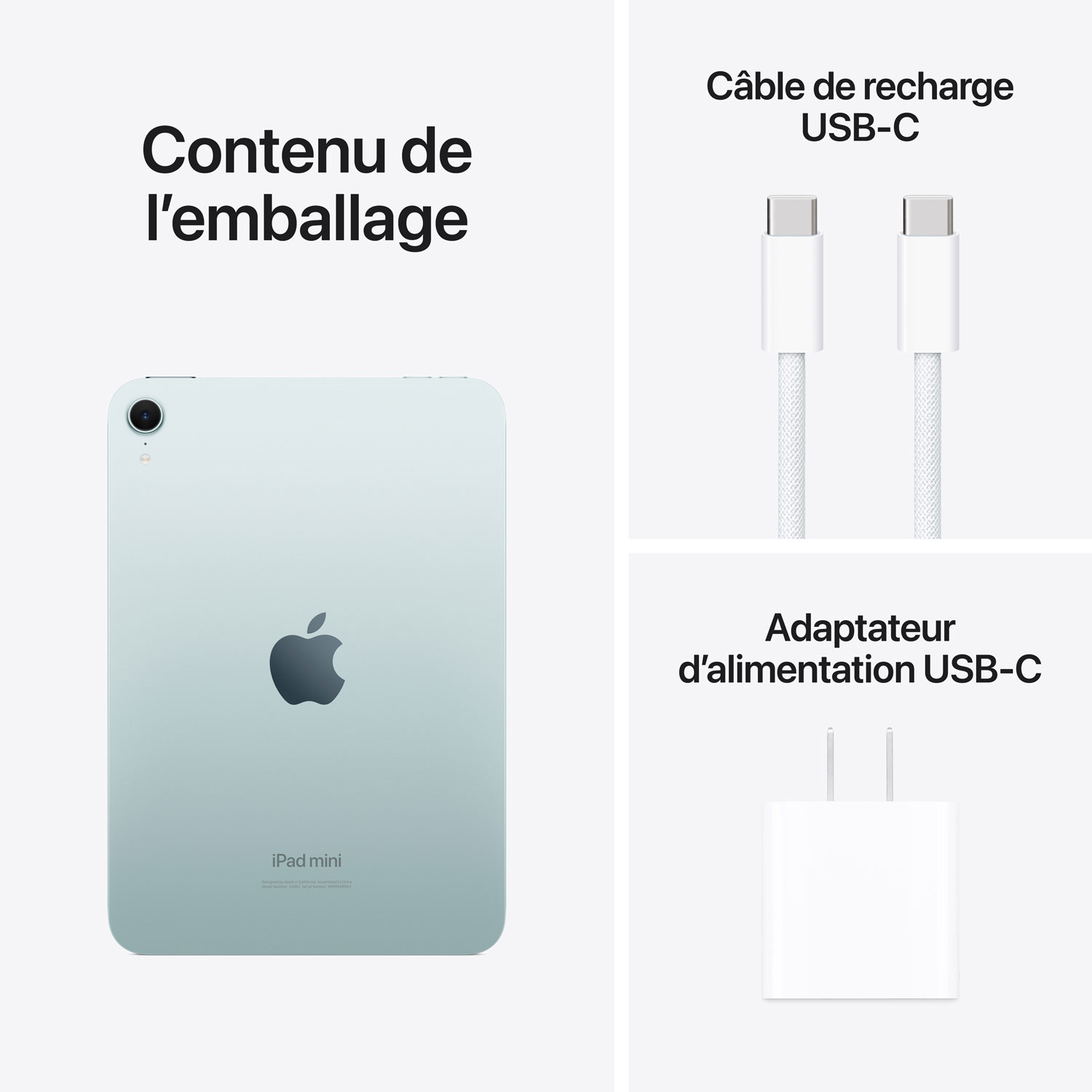 iPad mini 8,3 po 128 Go avec Wi-Fi d'Apple - Bleu