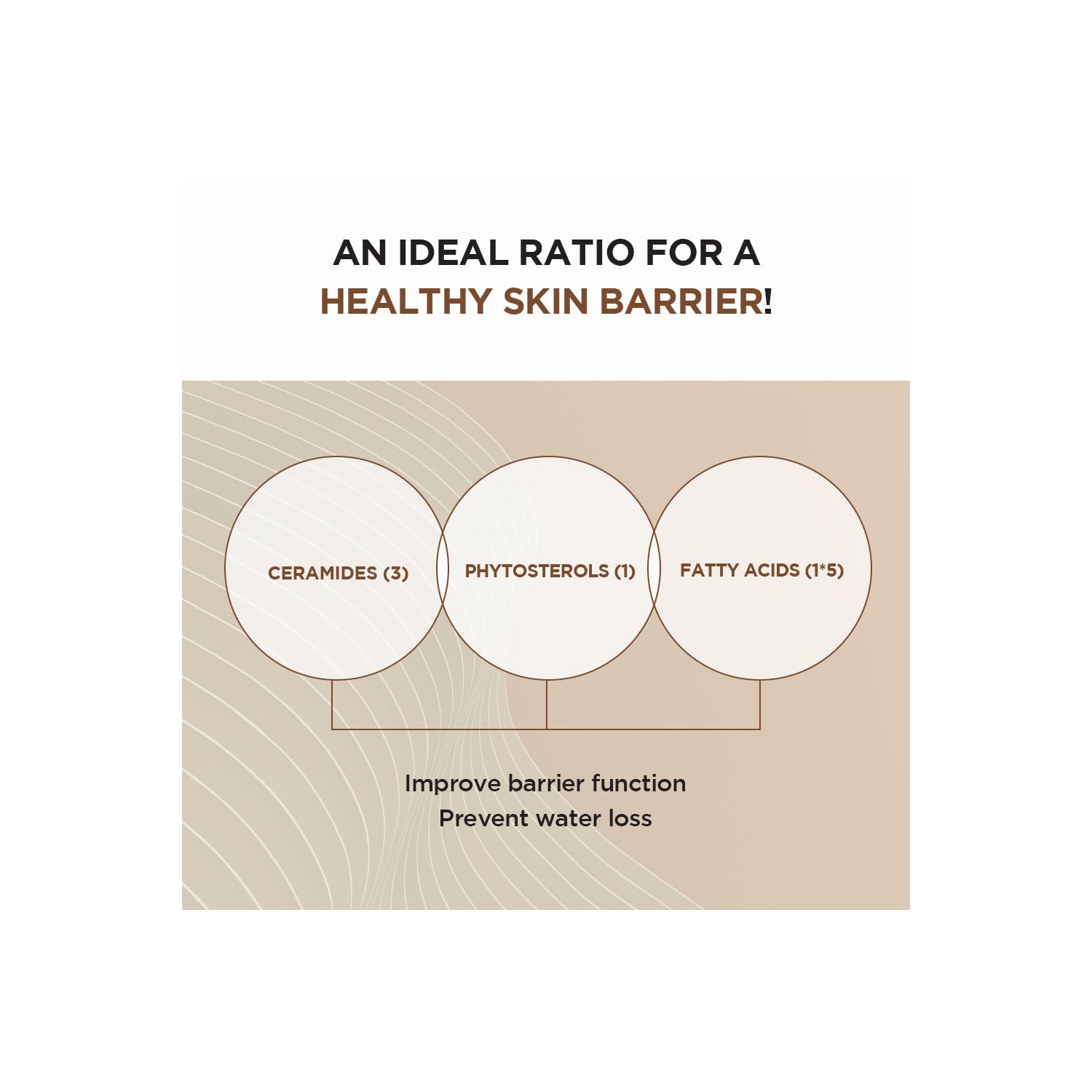 SKIN1004 – Ampoule intensive Madagascar Centella Probio-CICA