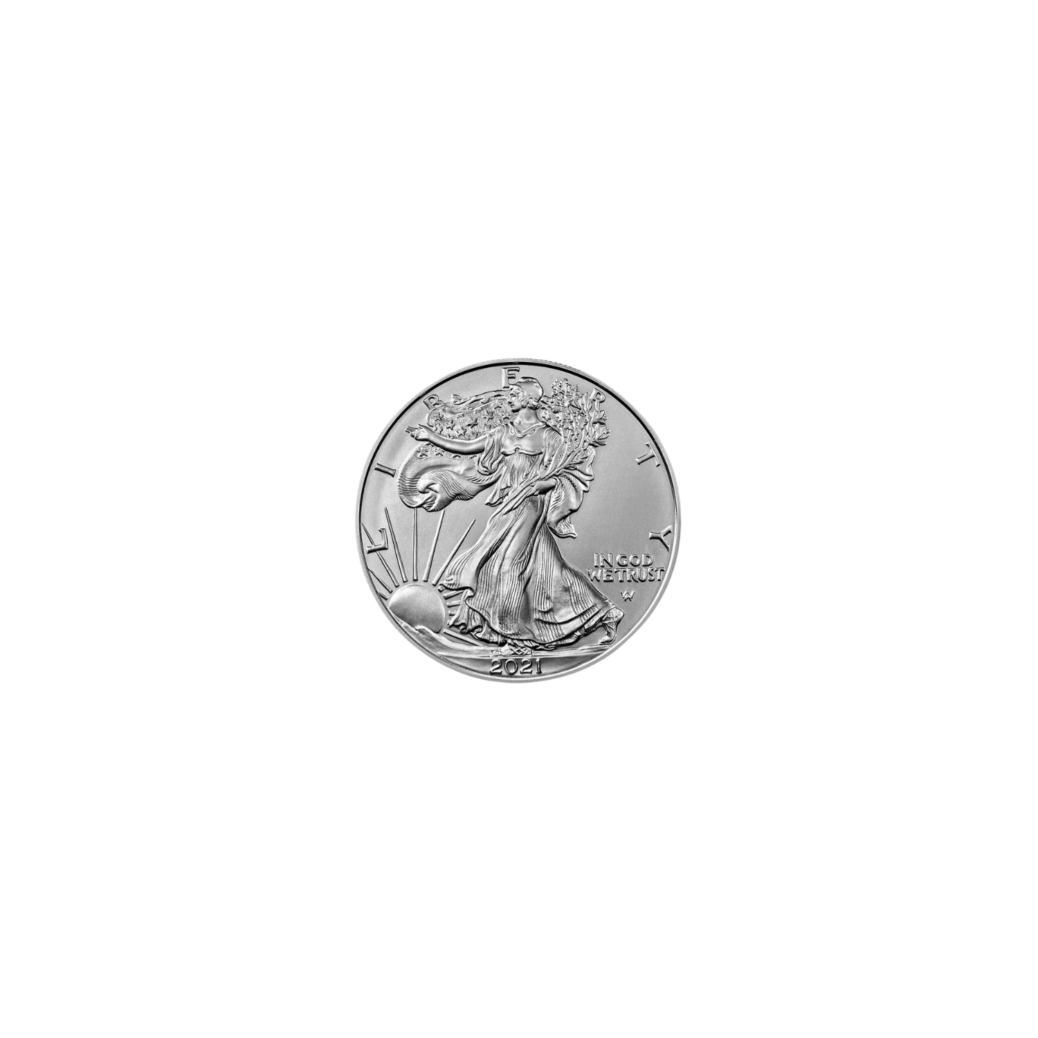 1 oz American Eagle Silver Coin