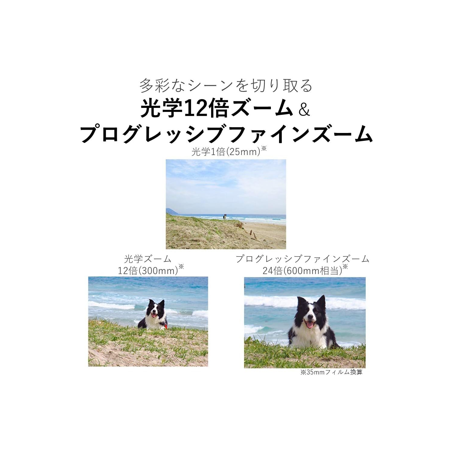 Appareil photo numérique compact IXY IXY650 argenté avec zoom optique 650 12x, carte 64 Go et trépied de Canon