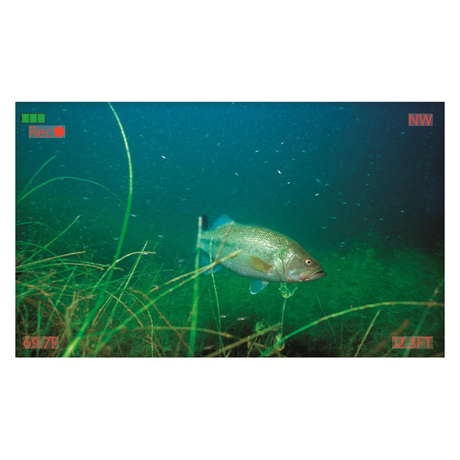 MarCum Pursuit SD+ Lithium Equipped Underwater Viewing System