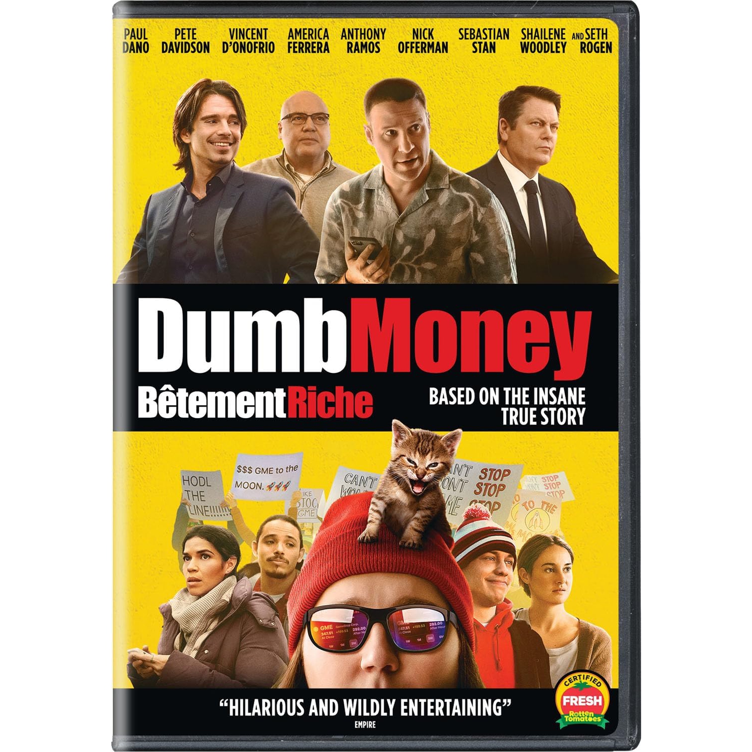 Dumb MoneyBêtement Riche [DVD]