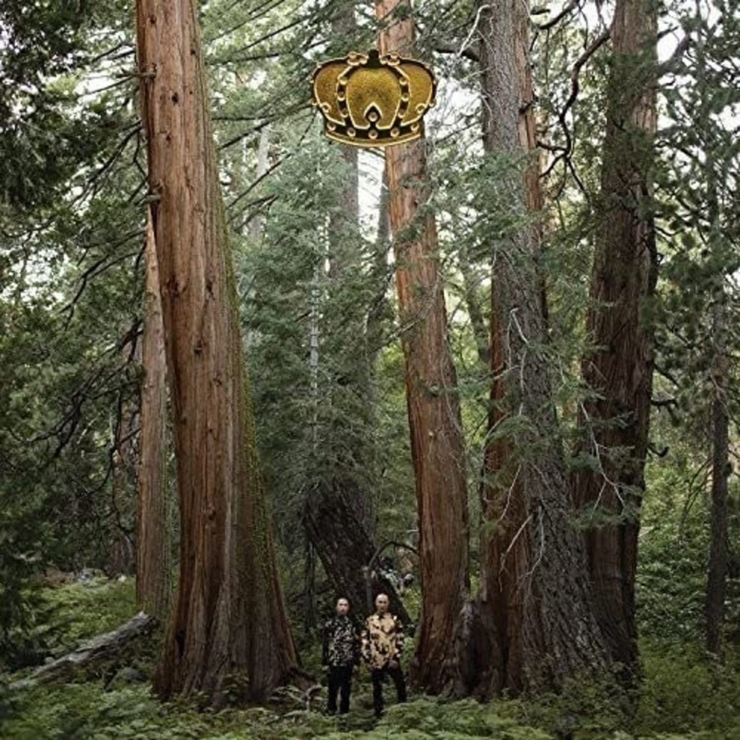 Djds - STAND UP AND SPEAK - [Vinyl]