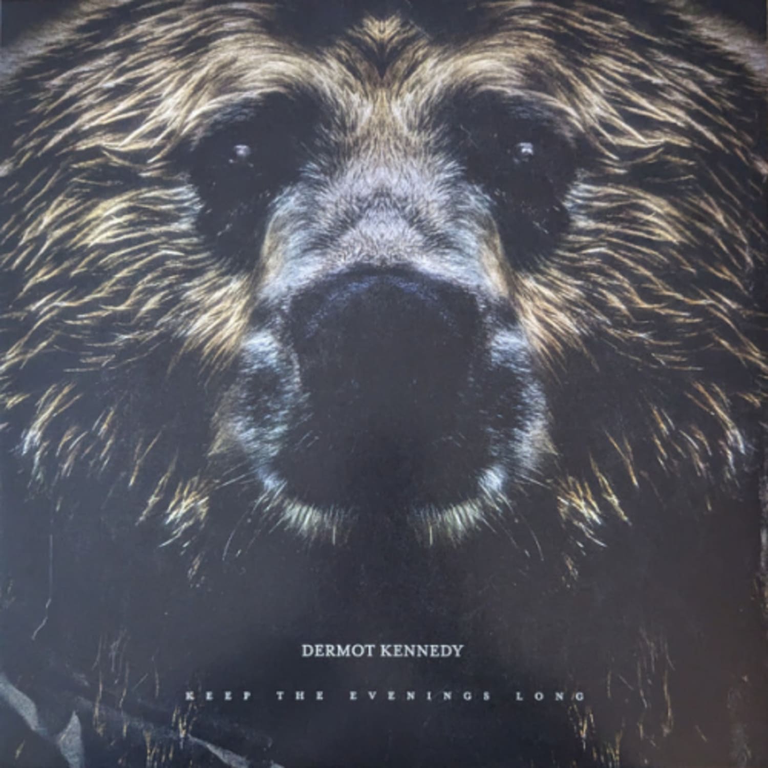 Dermot Kennedy - Keep The Evenings Long - Limited Transparent Marbled Colored Vinyl [Import] - - [Vinyl]