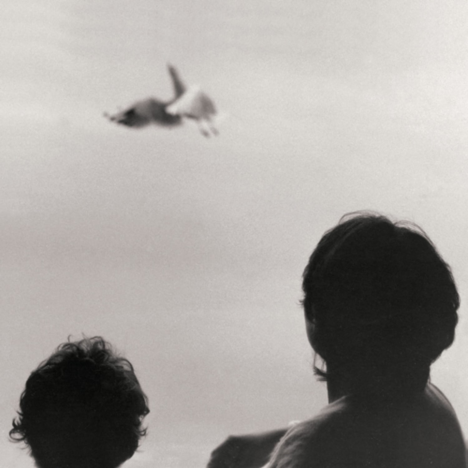 Federico Albanese - BEFORE AND NOW SEEMS INFINITE - [Vinyl]