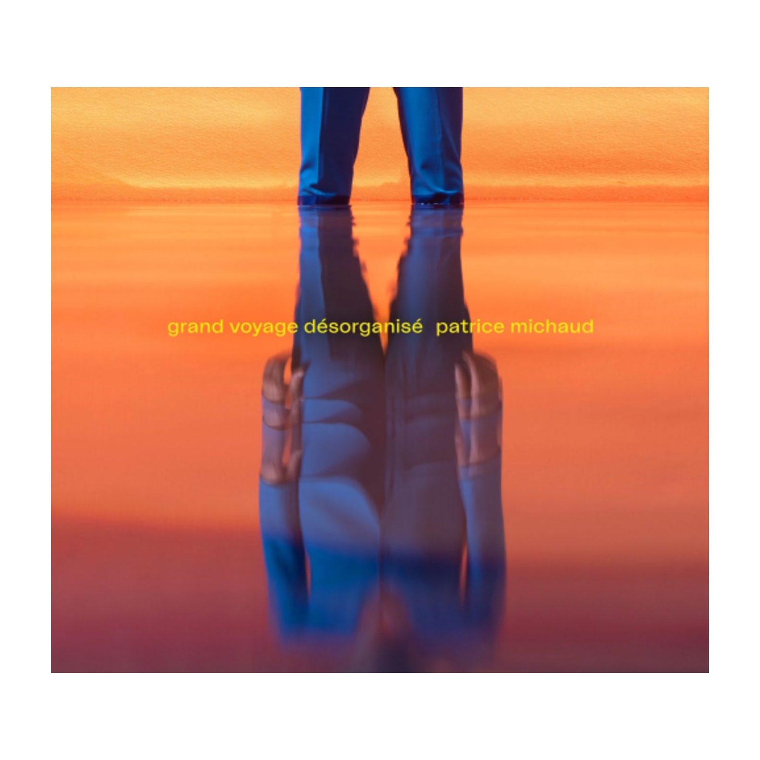 Patrice Michaud - Grand Voyage Desorganise [Import] - - [CD]