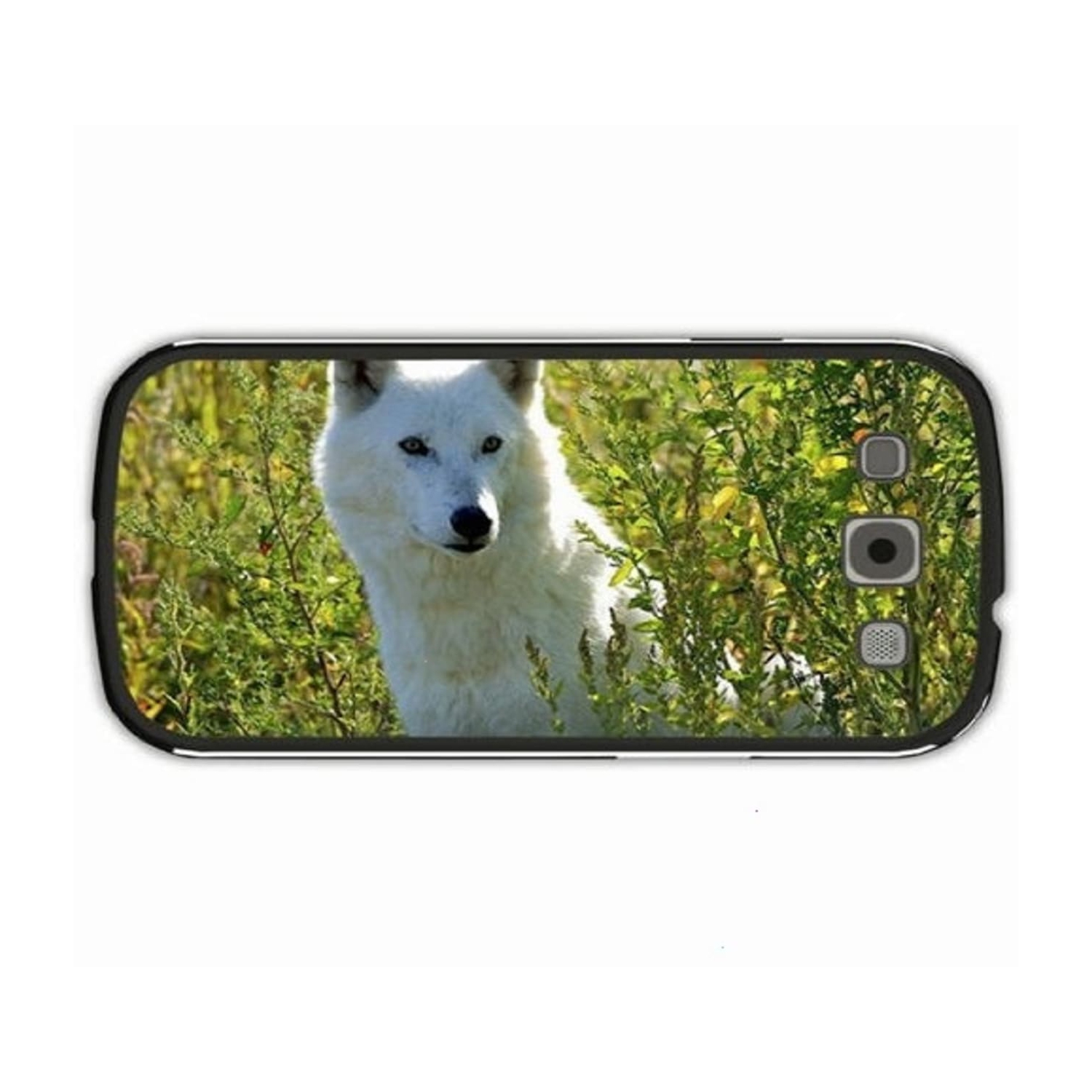 Caravane - Supernova [Import] - - [CD]