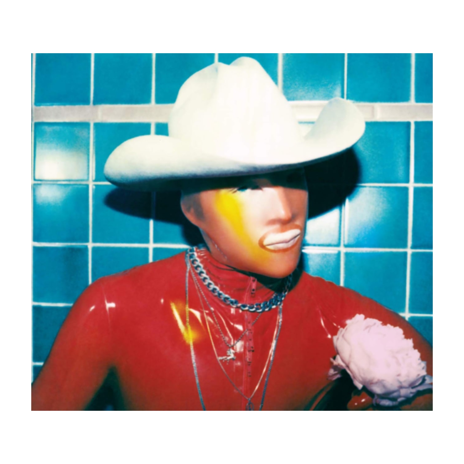 Cage The Elephant - SOCIAL CUES - [CD]