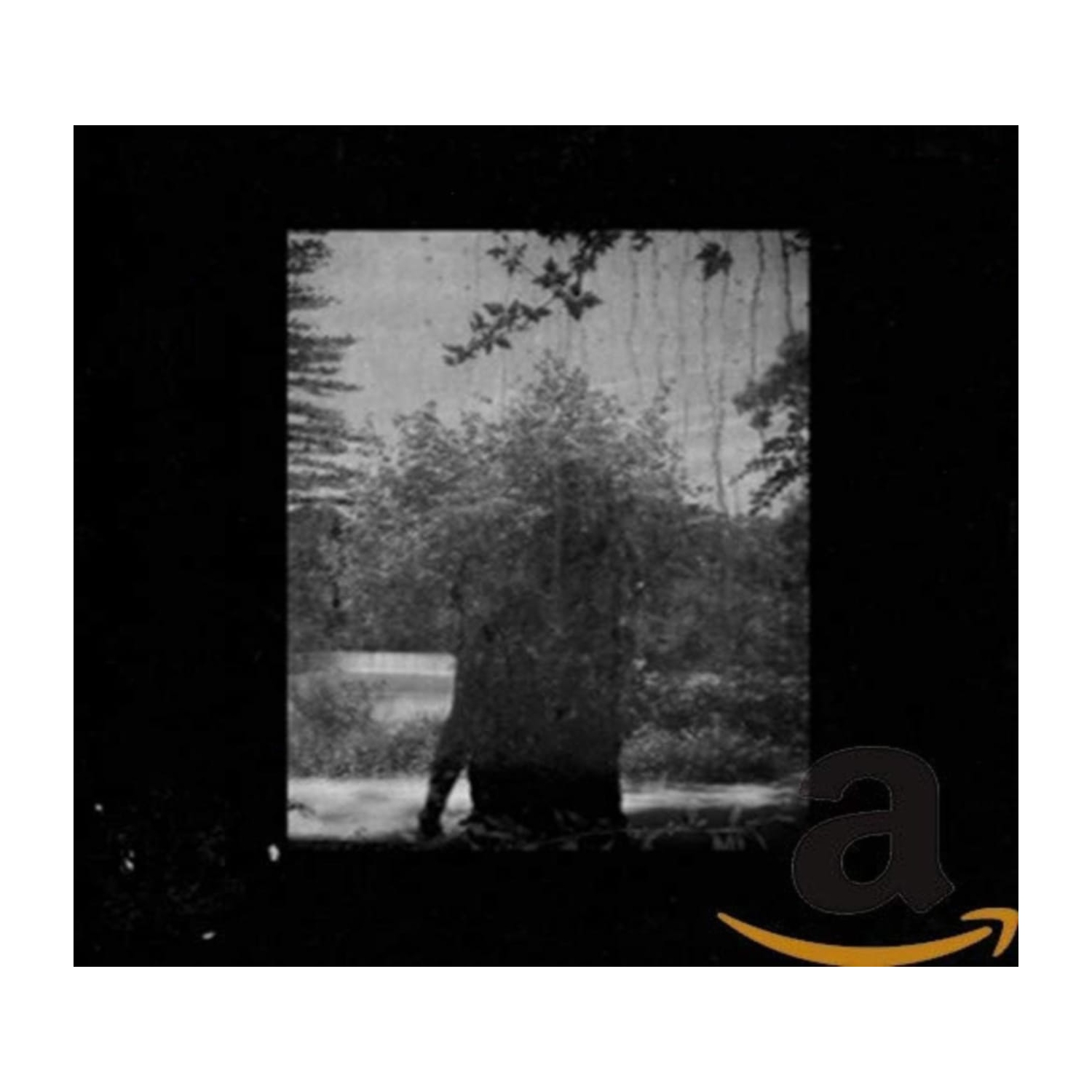 Grouper - Ruins - [CD]