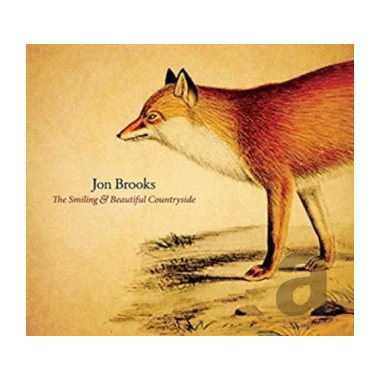 Jon Brooks - Smiling & Beautiful Countryside - [CD]