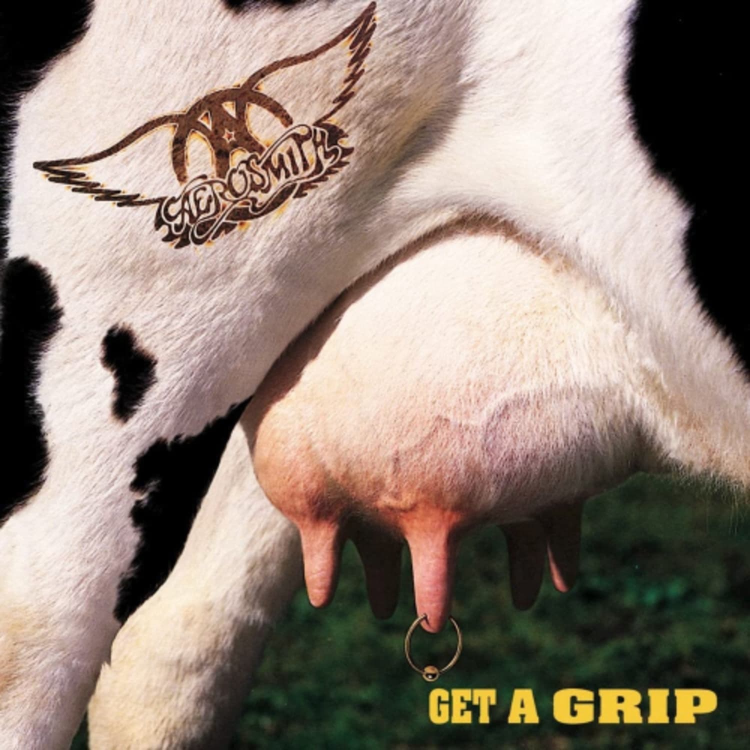 Aerosmith - Get A Grip - - [Vinyl]
