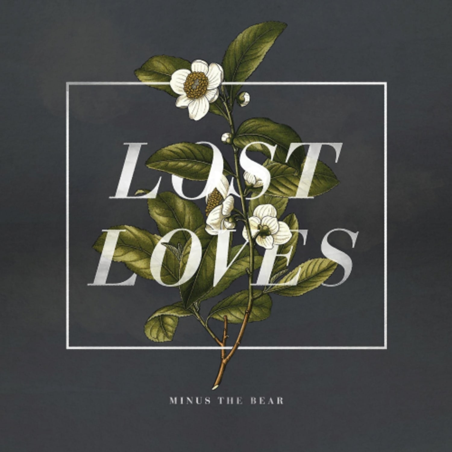 Minus the Bear - Lost Loves - [Vinyl]