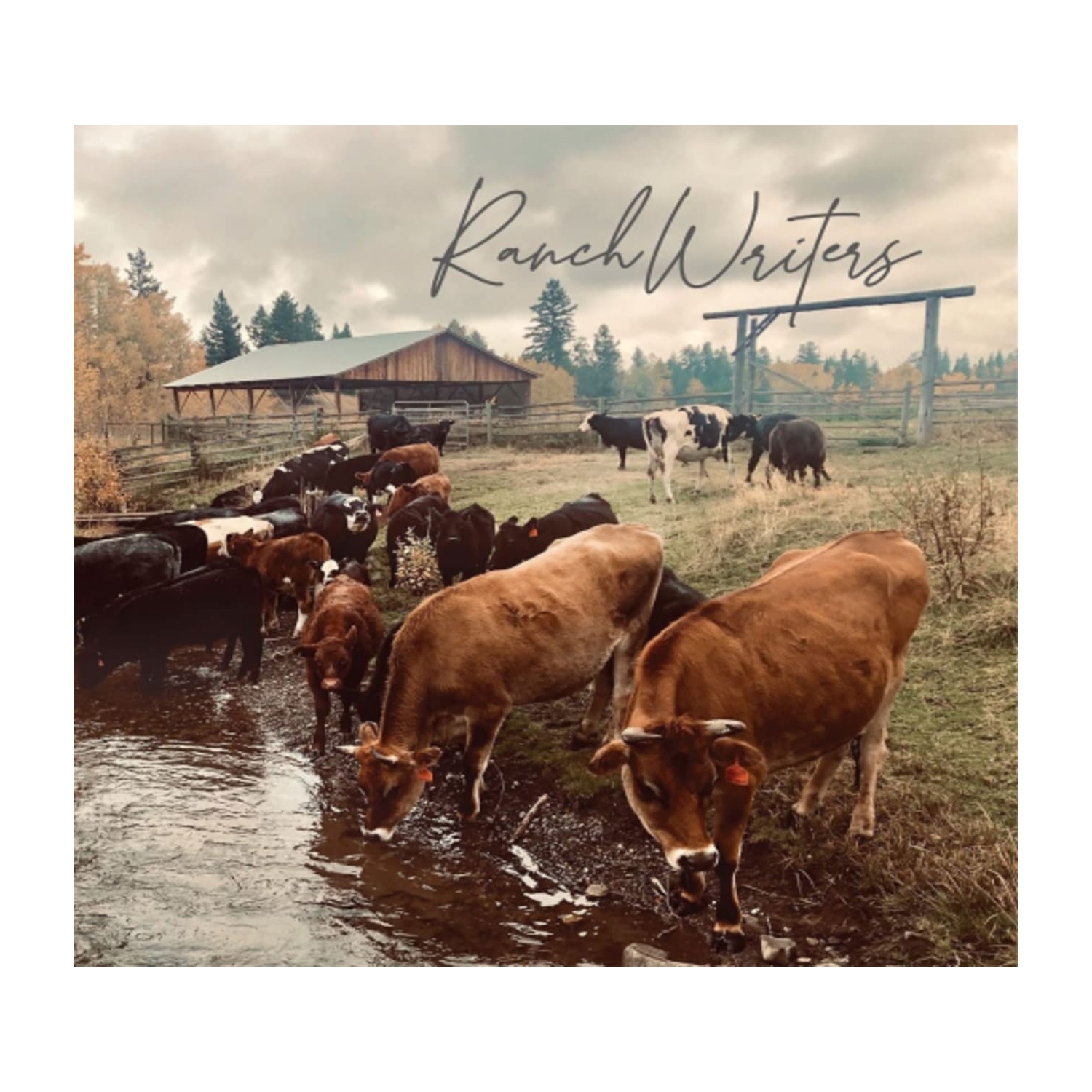 Ranchwriters - Ranchwriters - [CD]