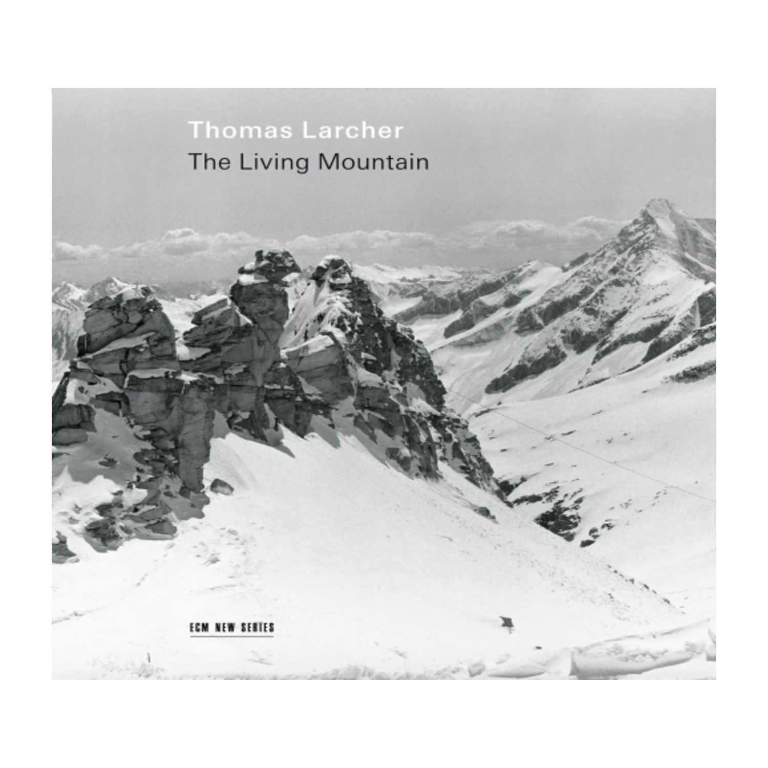 THOMAS LARCHER / SCHULDT / MUNICH CHAMBER ORC - Living Moutain - [CD]