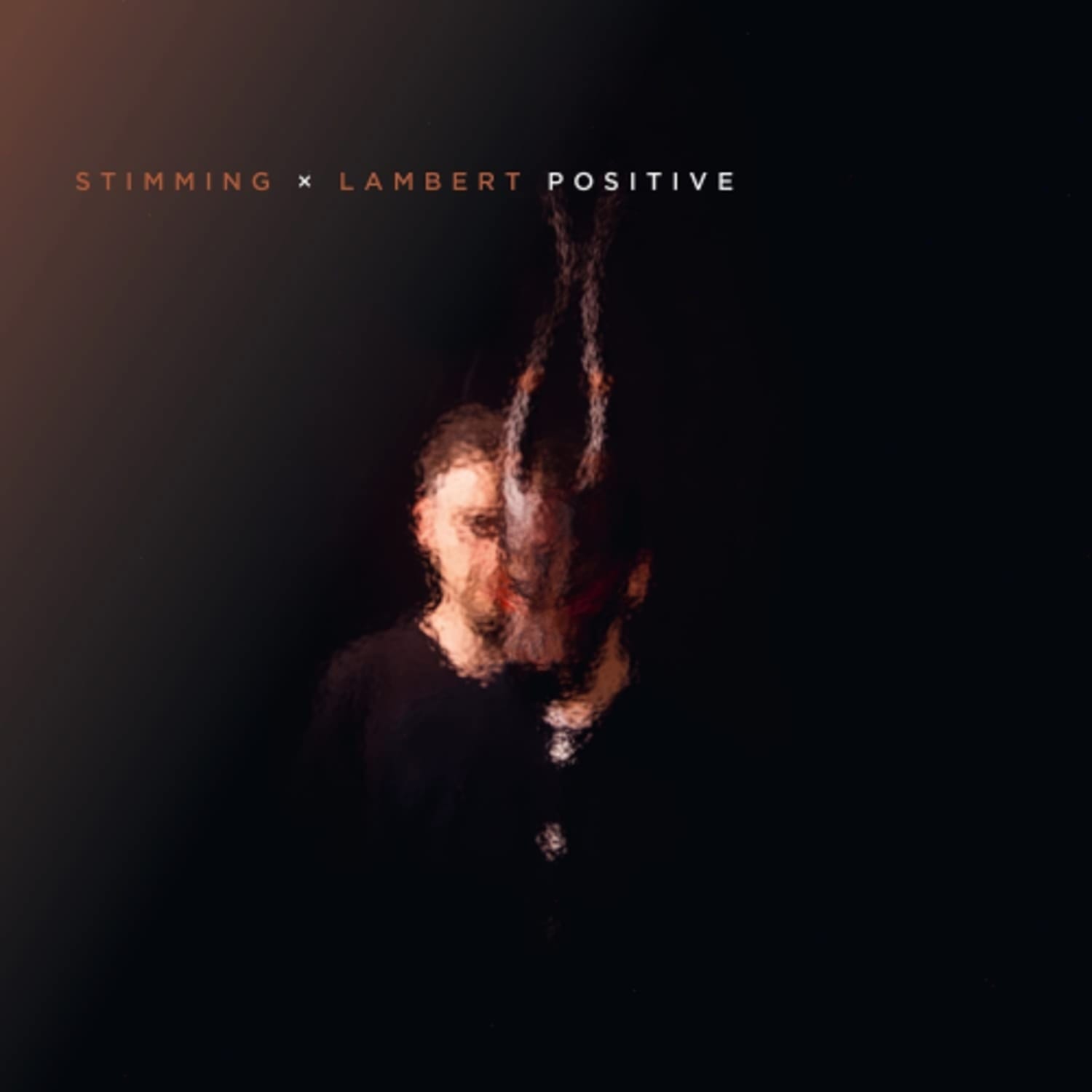 STIMMING / LAMBERT - Positive [Import] - - [Vinyl]