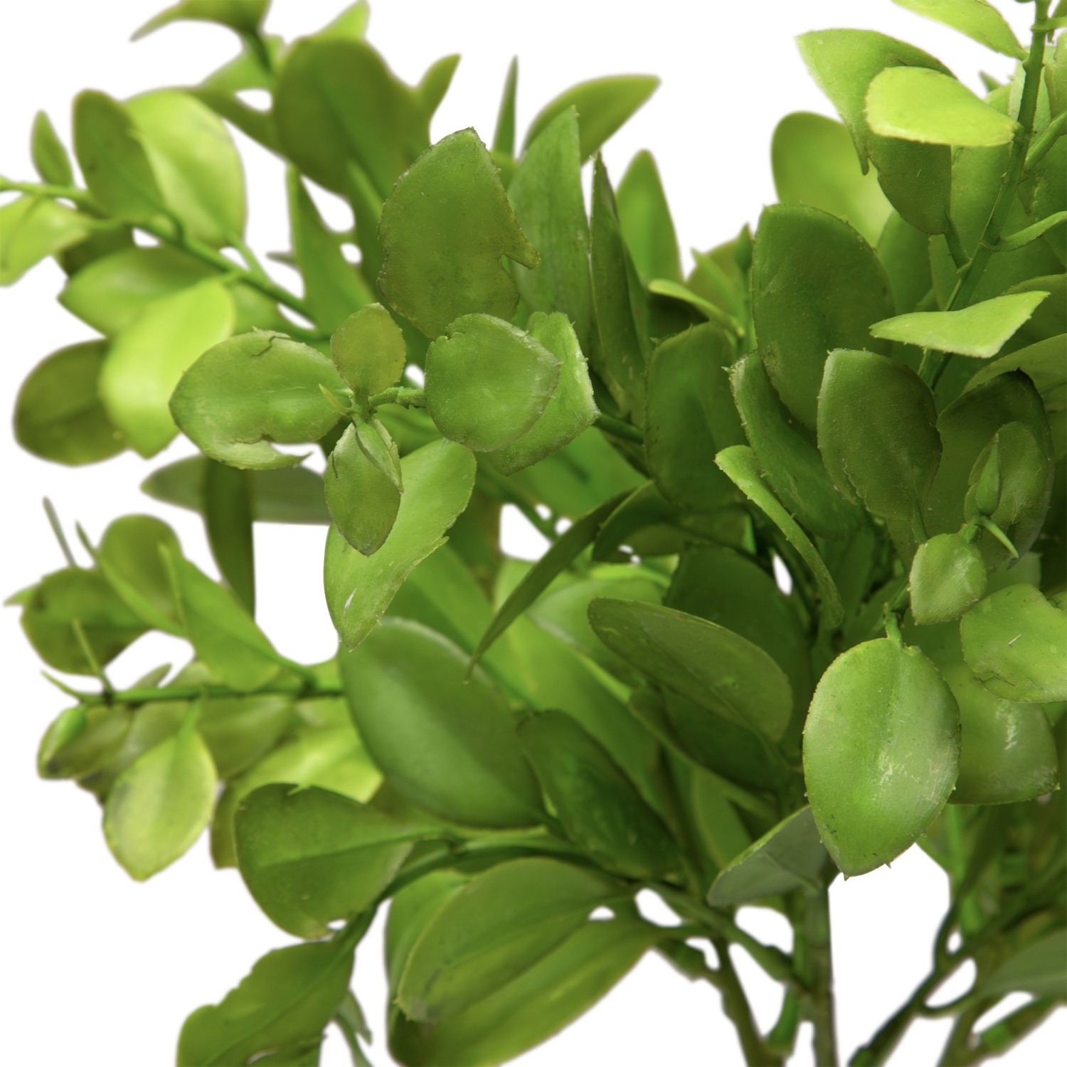 Japanese Boxwood Leaf Artificial Bundles - 15" - Set of 6