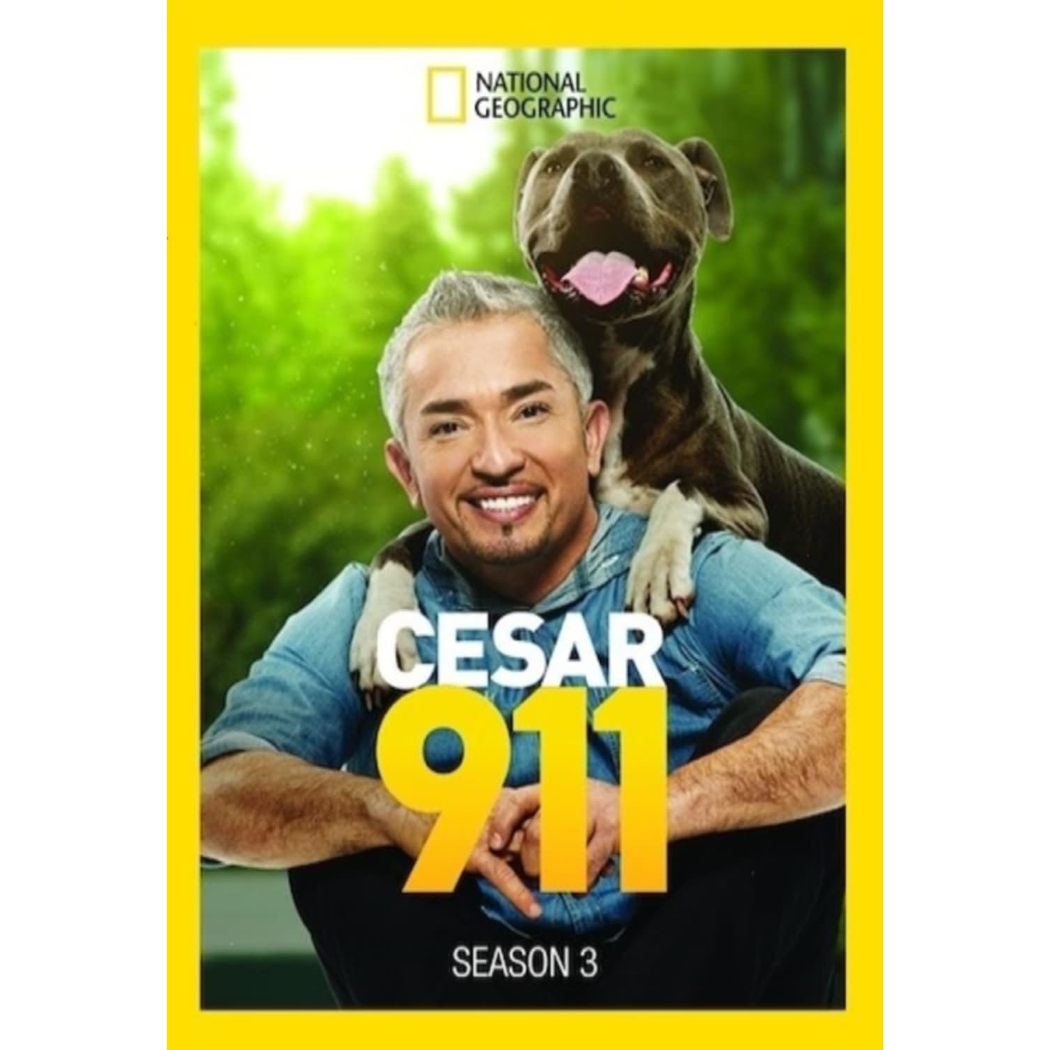 Cesar 911: Season 3 - - [DVD]