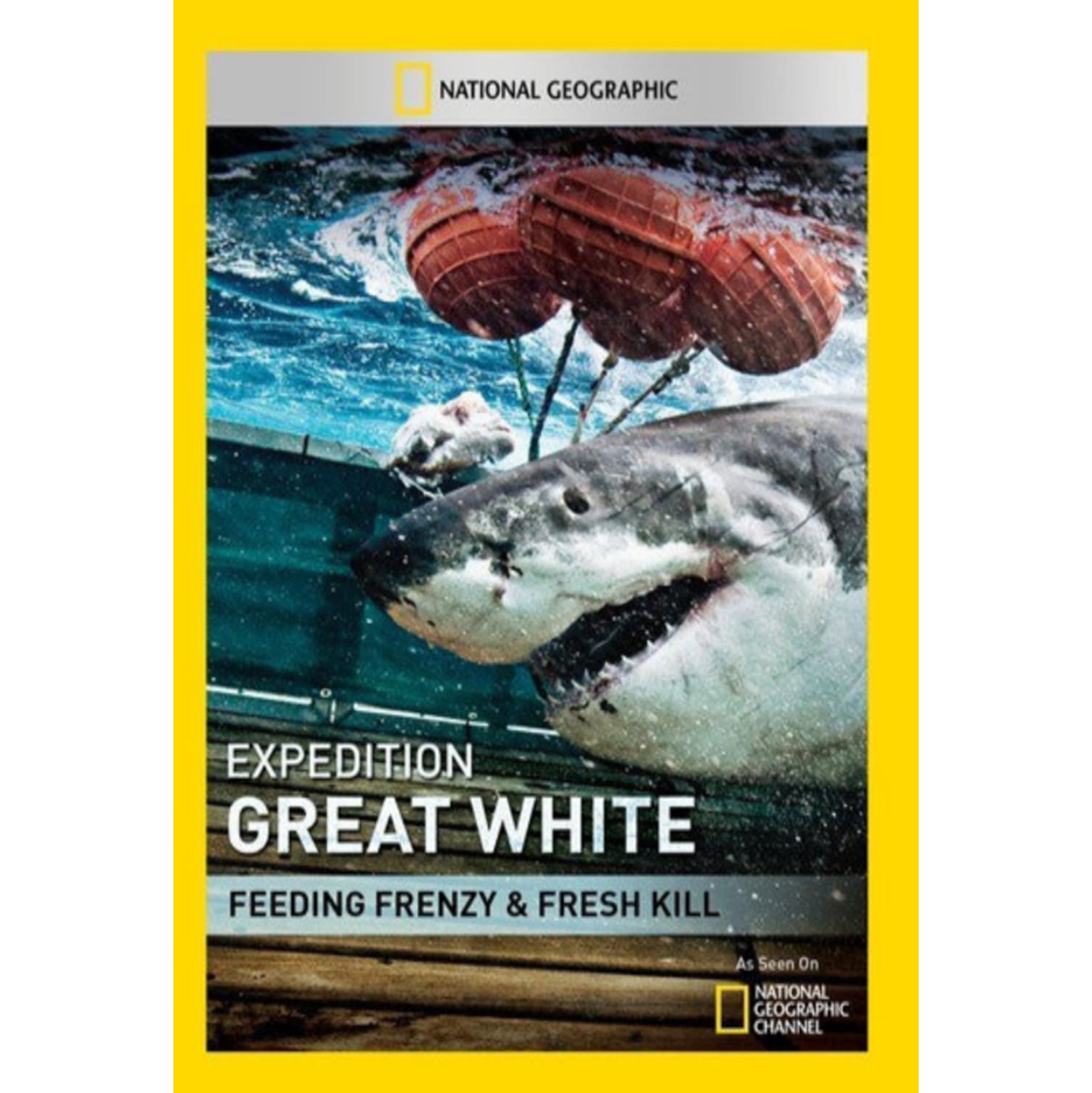 Expedition Great White: Feeding Frenzy - - [DVD]