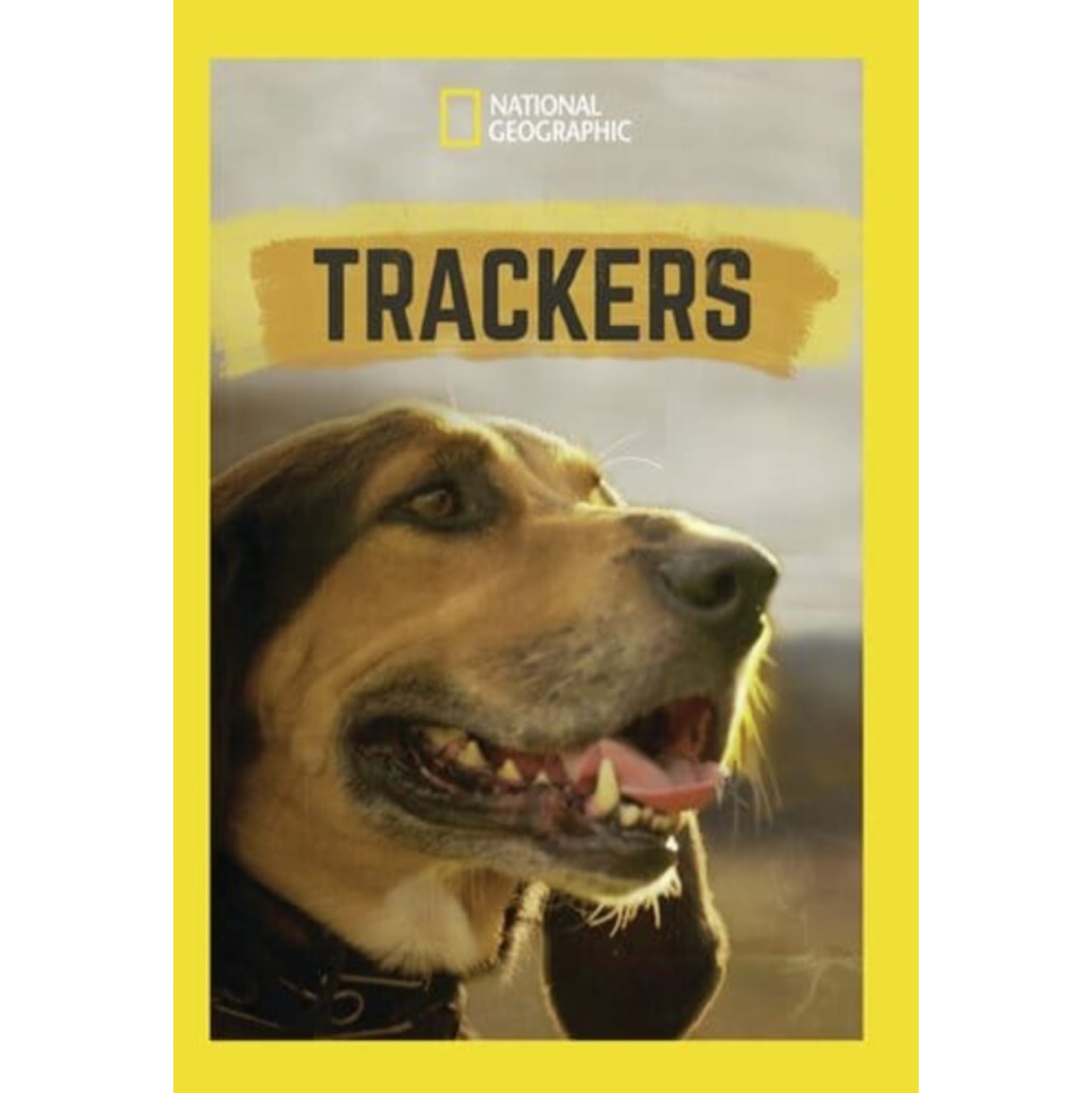Trackers - - [DVD]