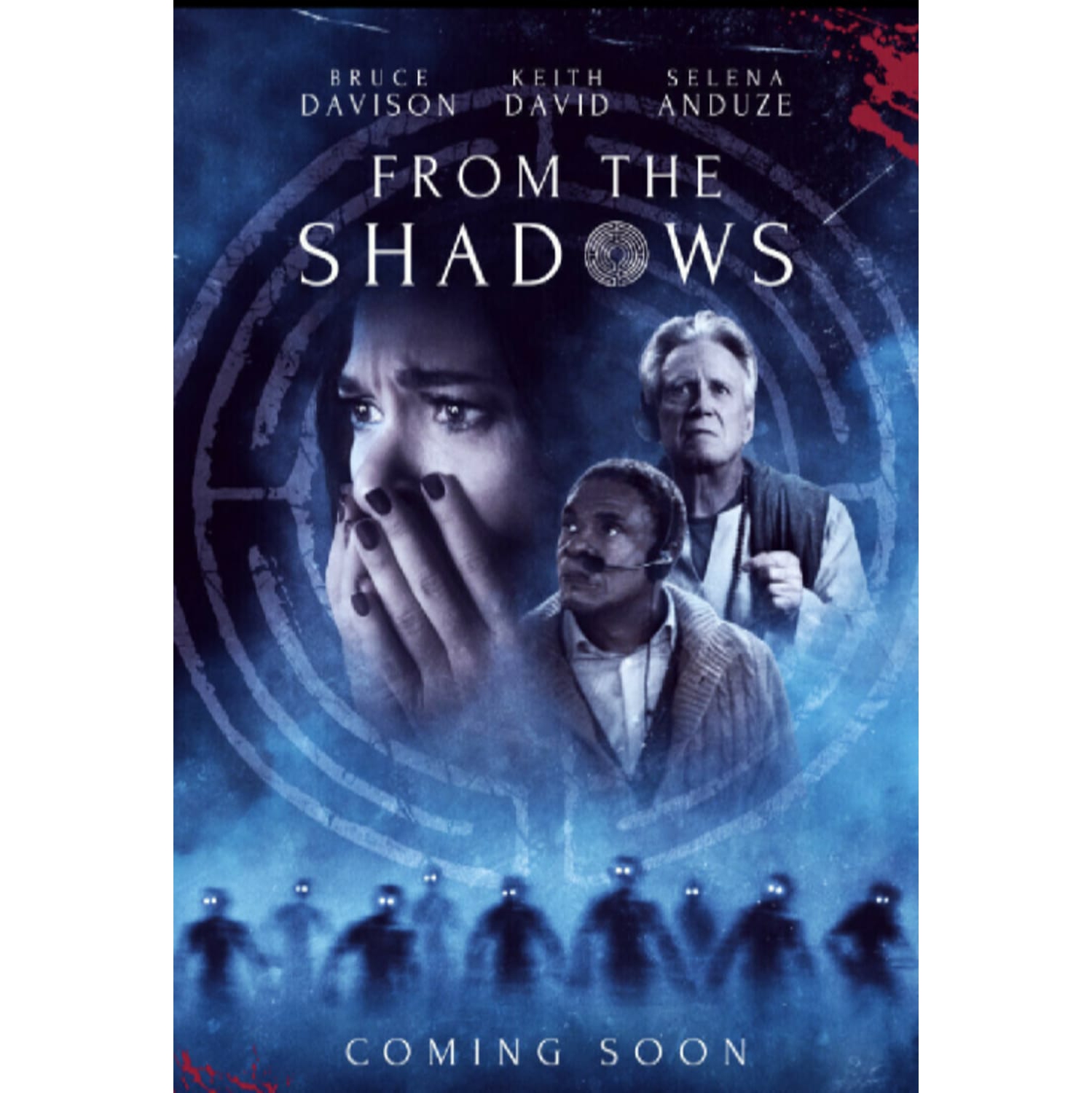 From The Shadows - - [DVD]
